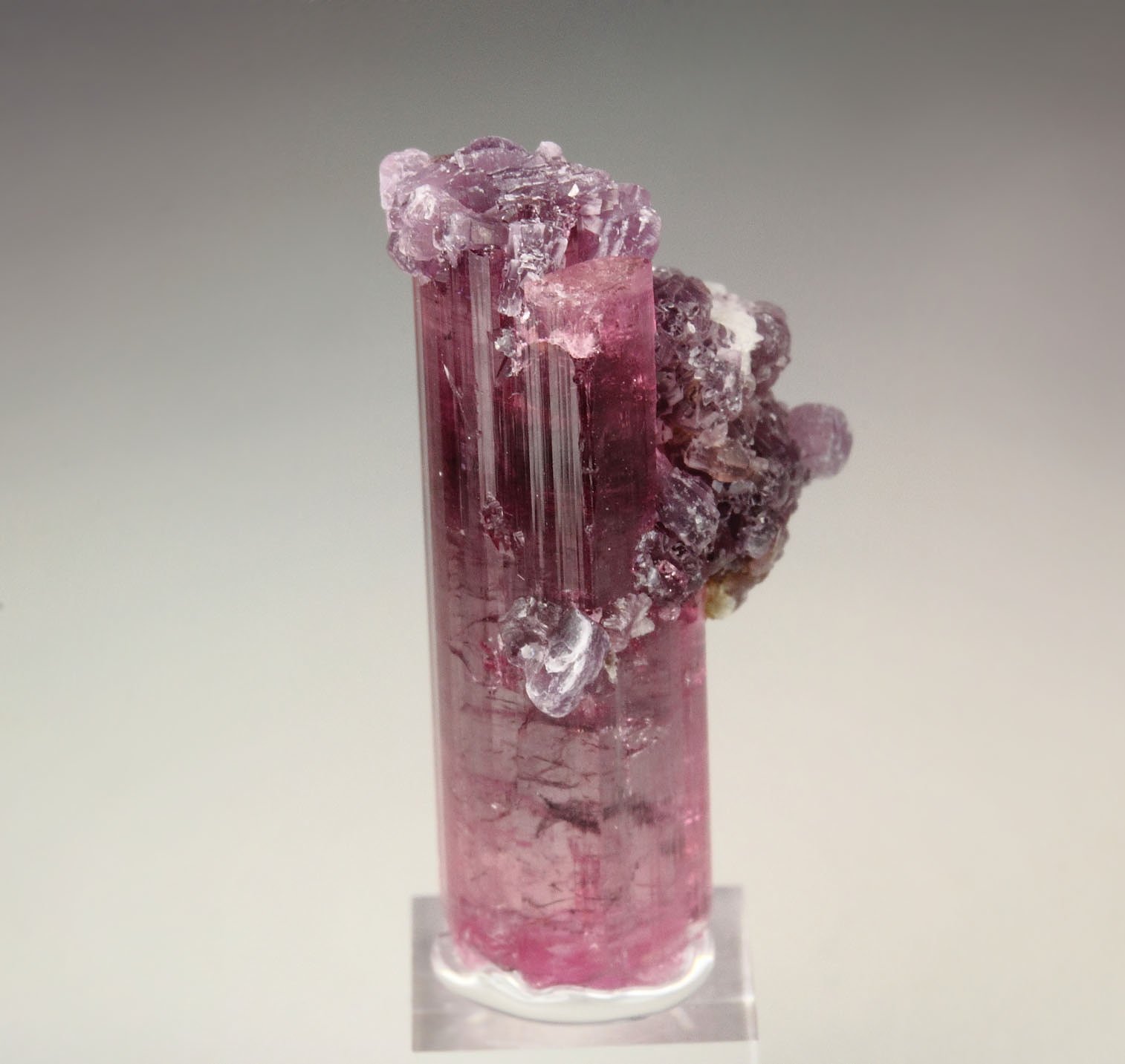 gem TOURMALINE var. ELBAITE, LEPIDOLITE