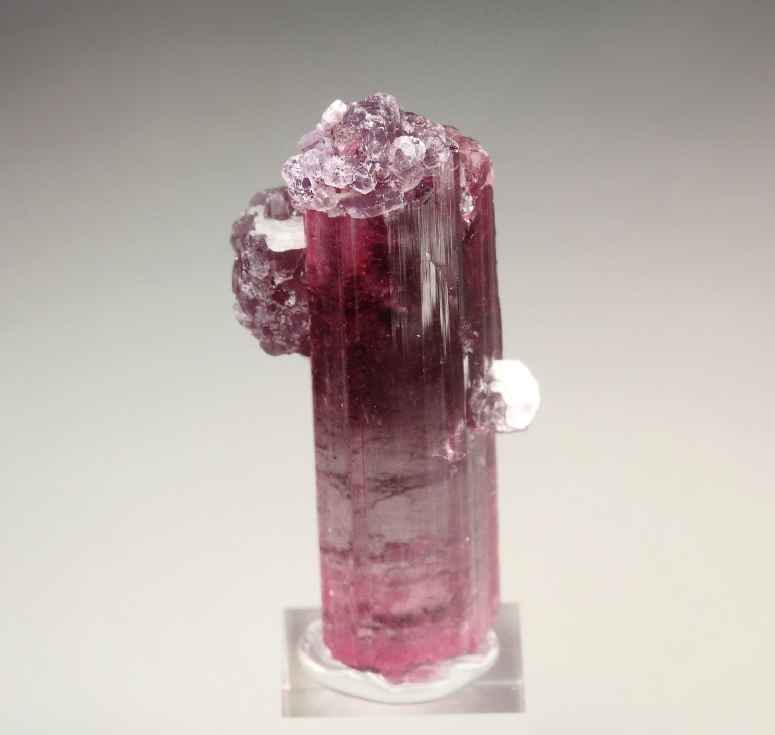 gem TOURMALINE var. ELBAITE, LEPIDOLITE