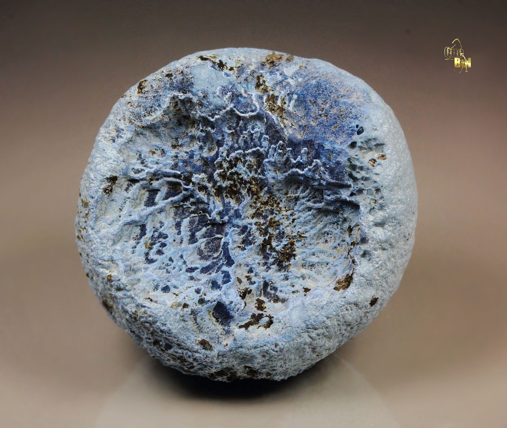 SHATTUCKITE floater