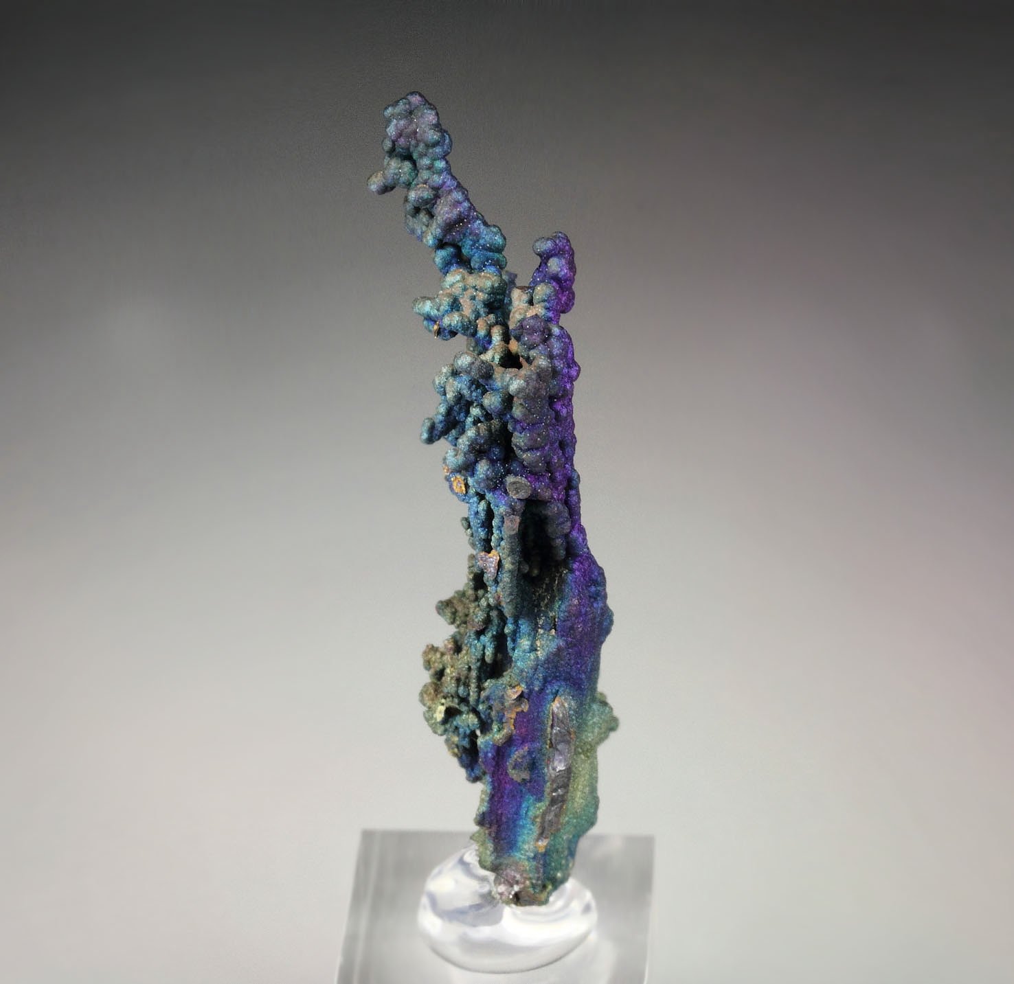 CHALCOCITE, DJURLEITE, iridescent CHALCOPYRITE