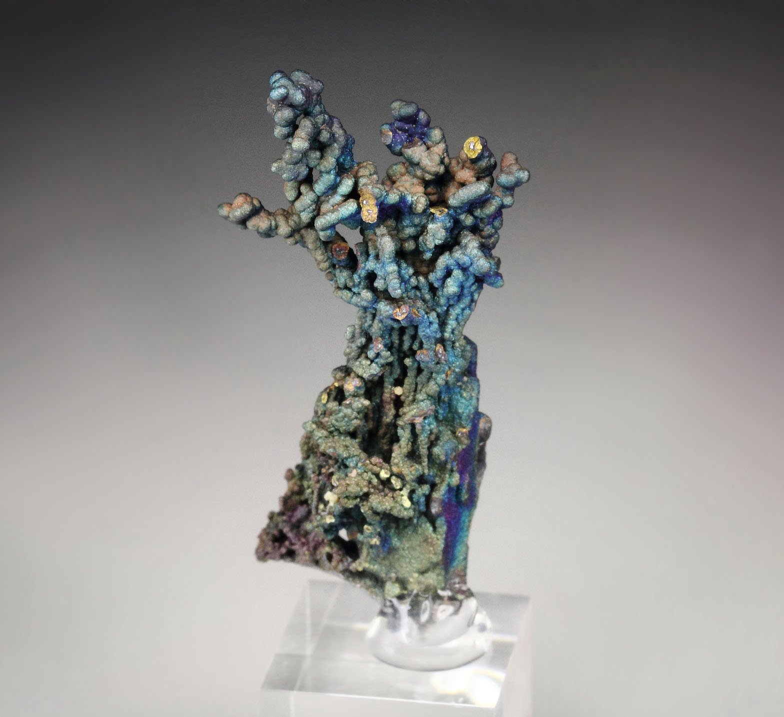 CHALCOCITE, DJURLEITE, iridescent CHALCOPYRITE