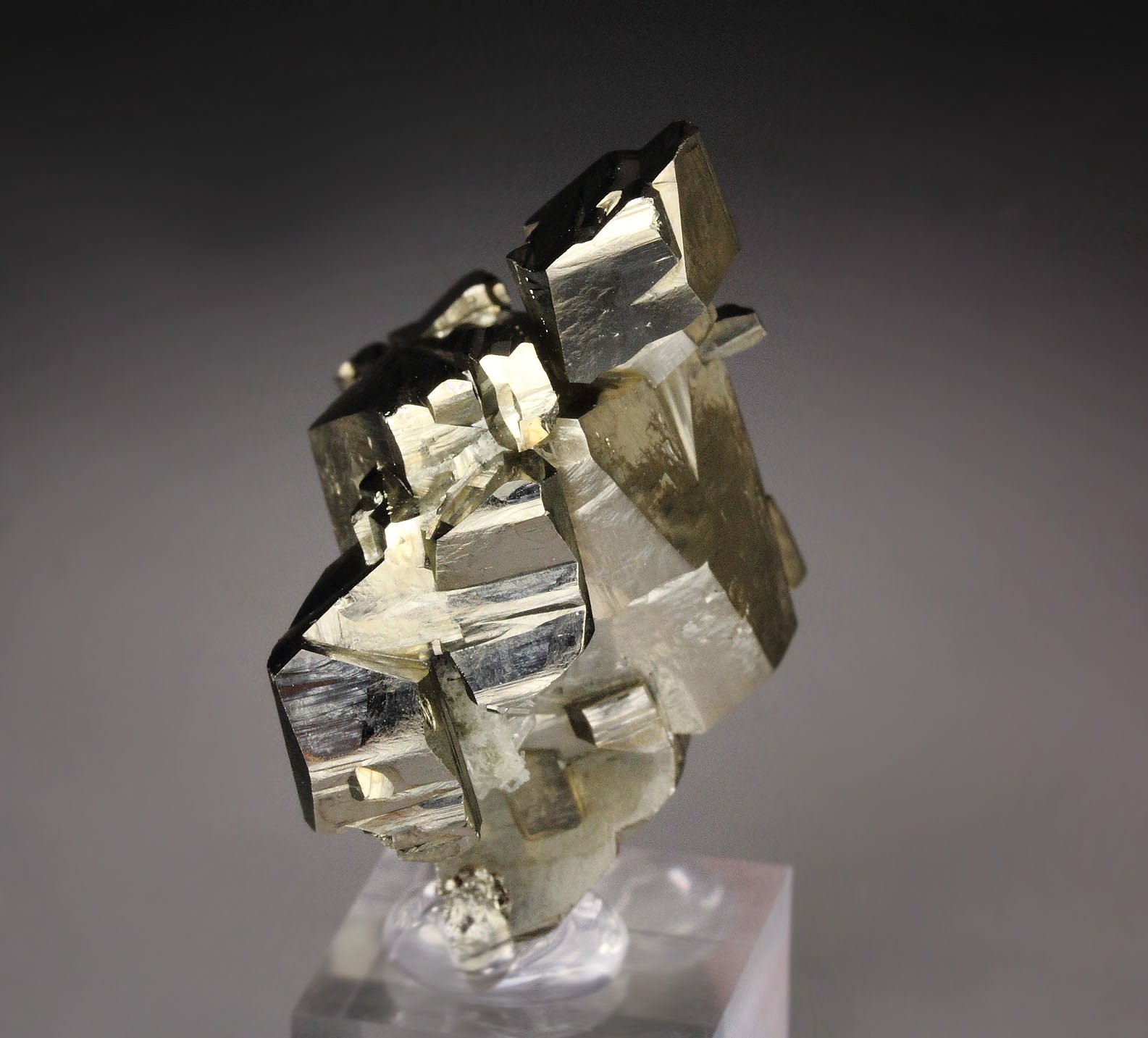 PYRITE floater