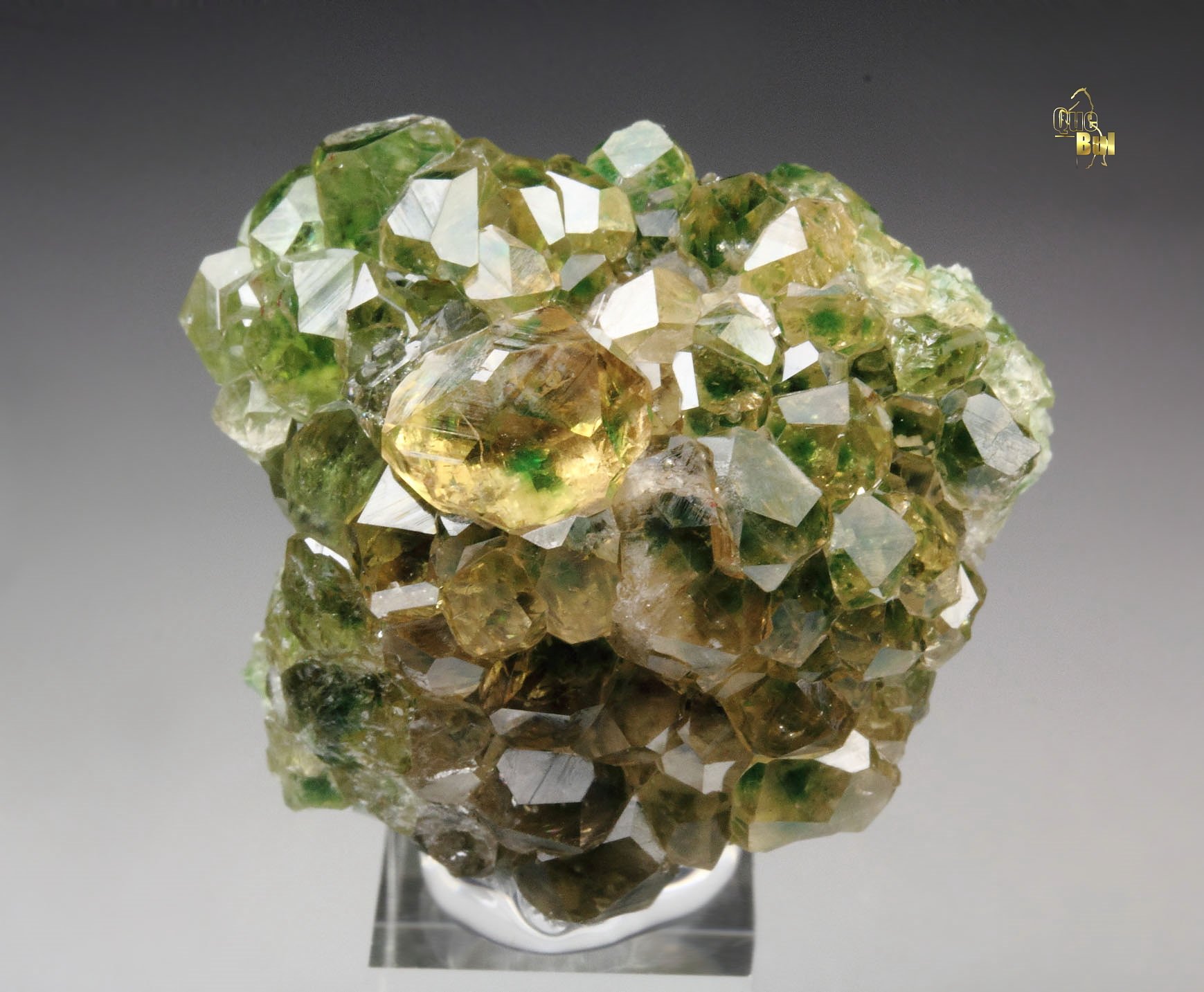 gem GARNET var. GROSSULAR with GREEN CHROMIAN PHANTOMS