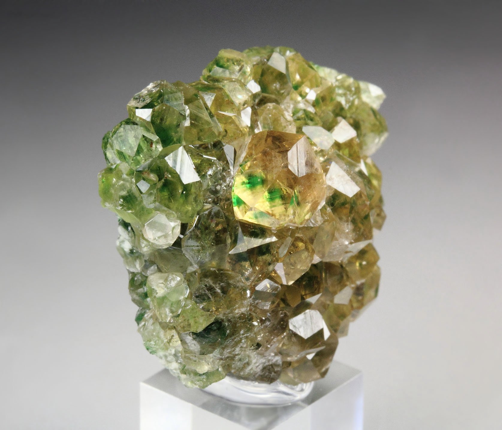 gem GARNET var. GROSSULAR with GREEN CHROMIAN PHANTOMS