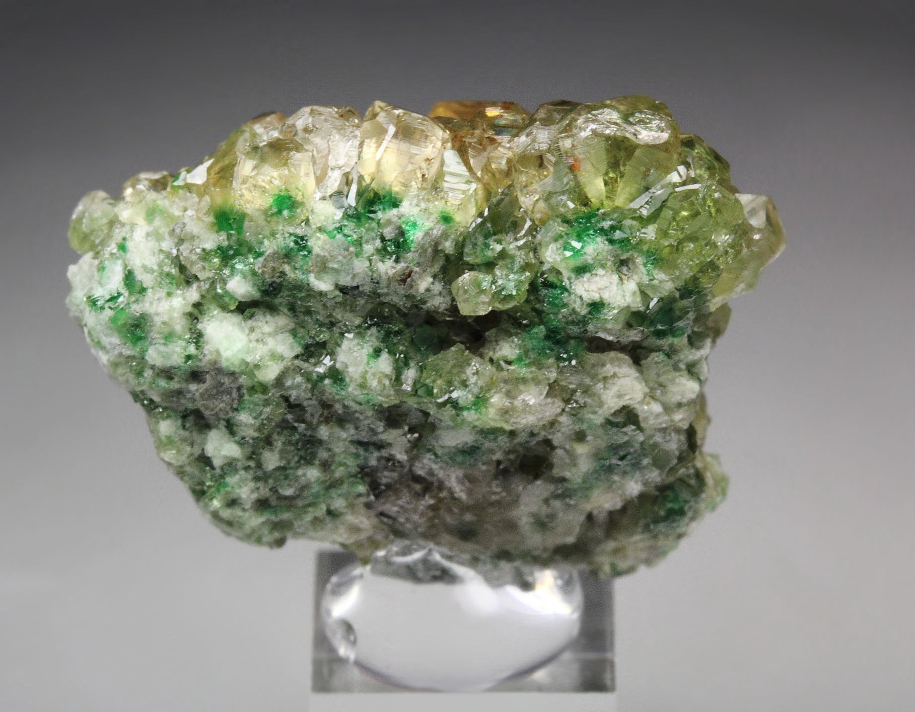 gem GARNET var. GROSSULAR with GREEN CHROMIAN PHANTOMS