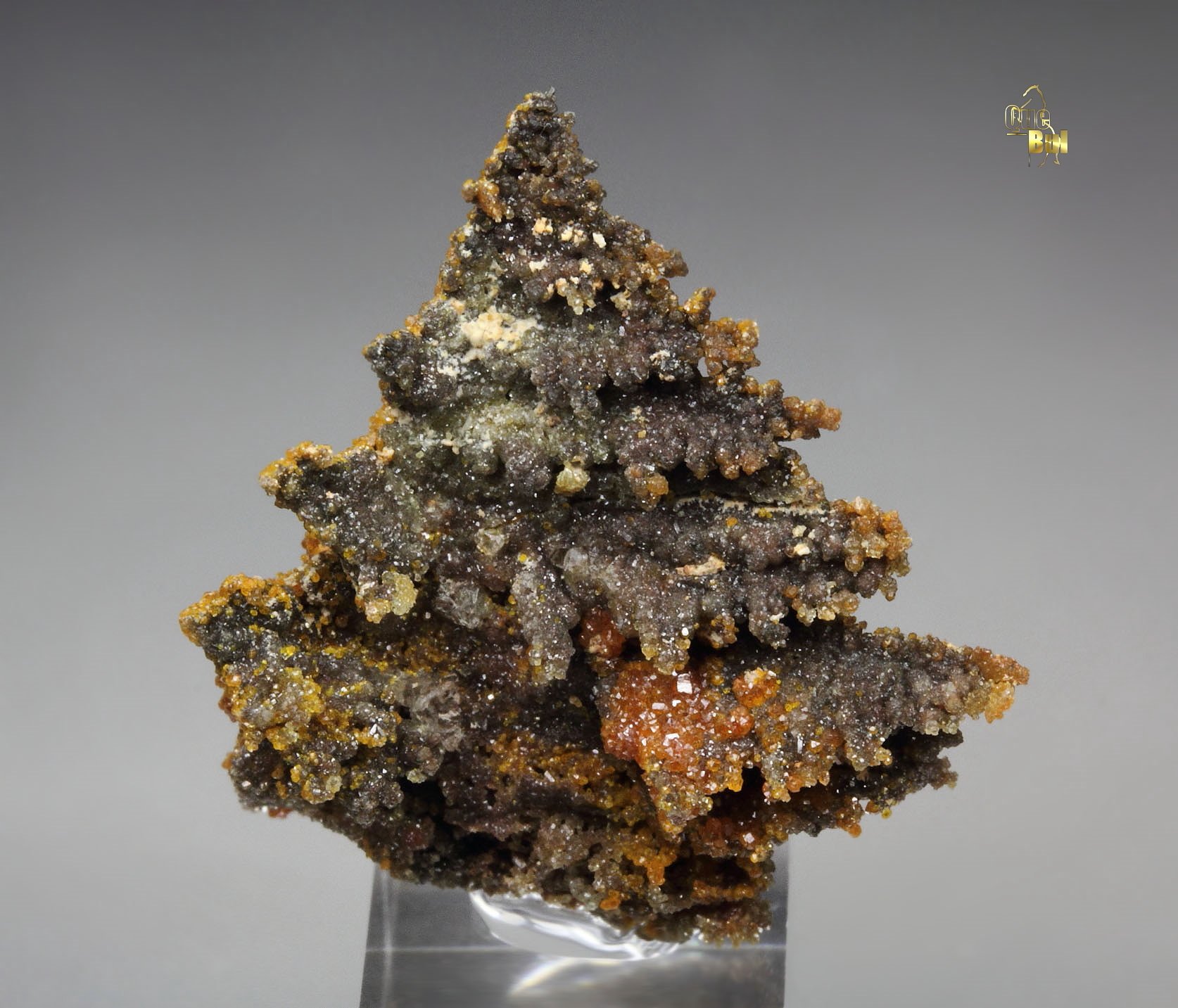 WILLEMITE pseudomorph after DESCLOIZITE, MIMETITE 