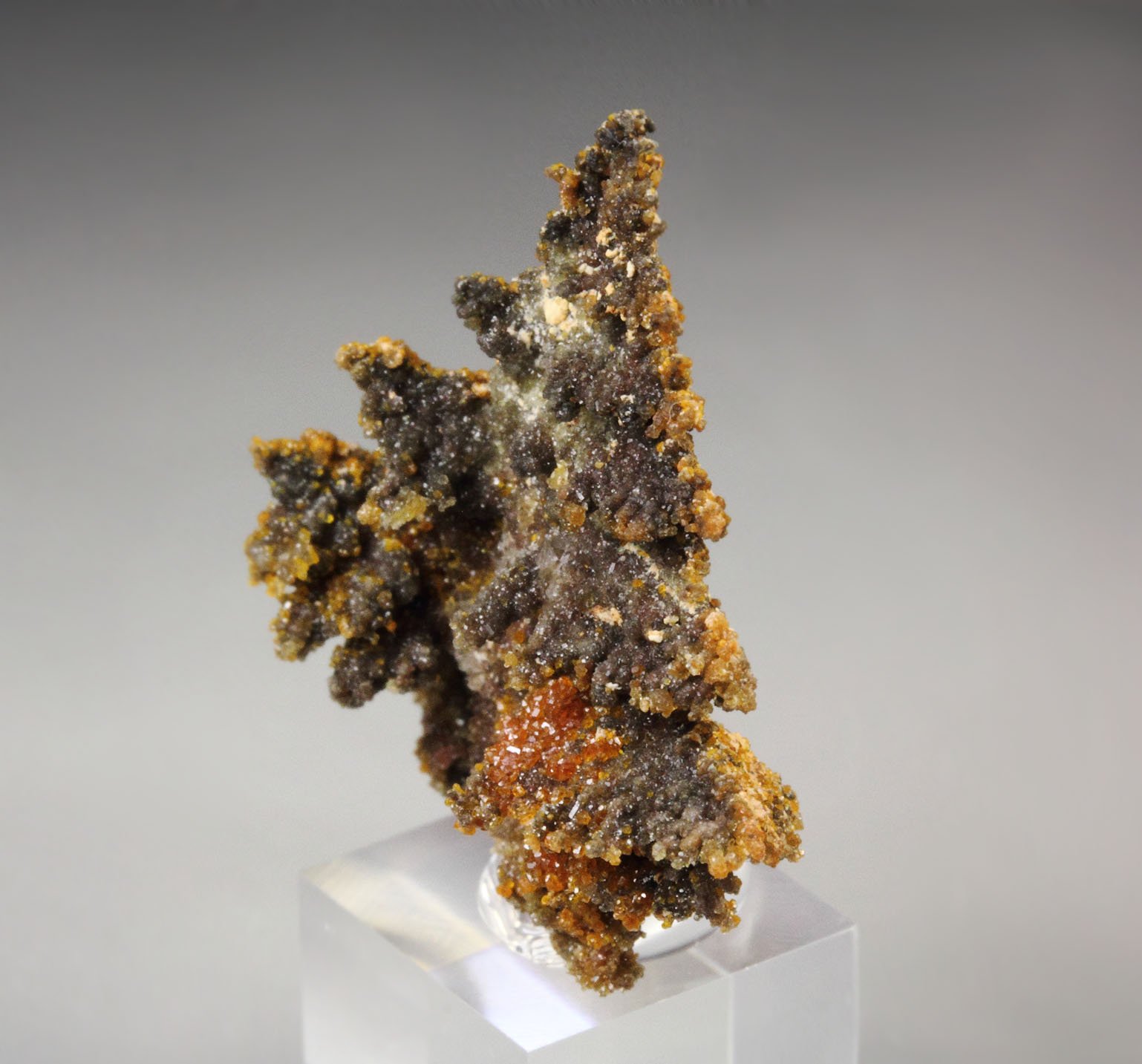 WILLEMITE pseudomorph after DESCLOIZITE, MIMETITE 