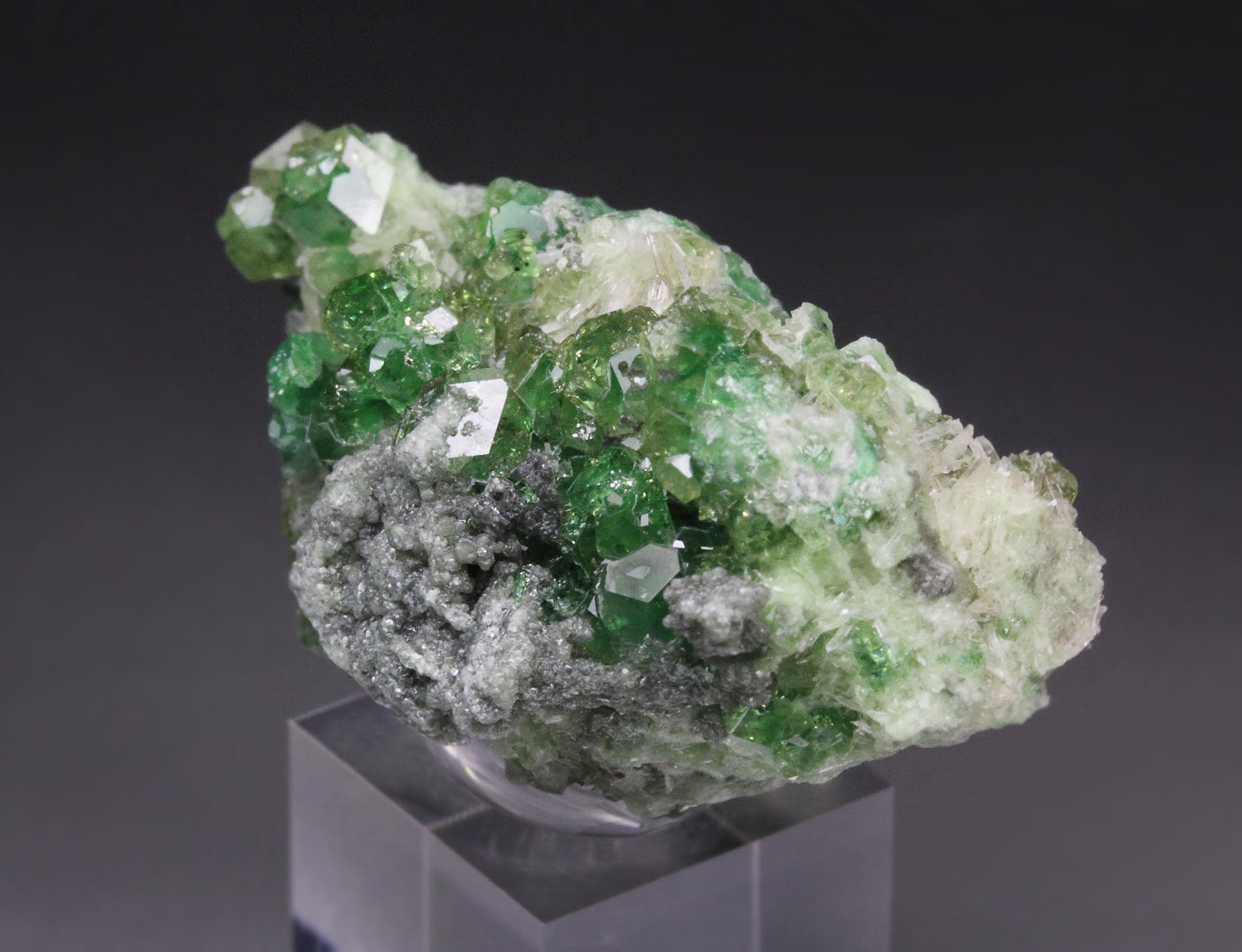 gem GARNET var. GROSSULAR with GREEN CHROMIAN PHANTOMS, CLINOCHLORE, DIOPSIDE