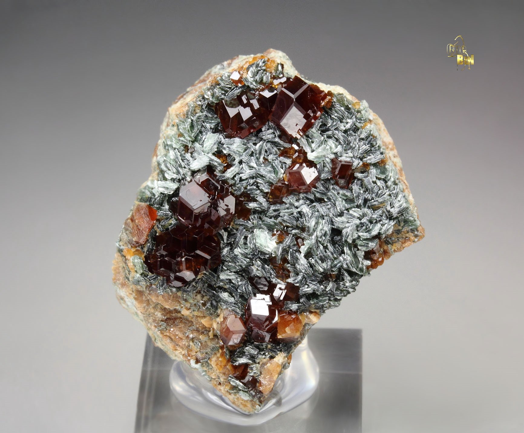 GARNET var. HESSONITE, CLINOCHLORE