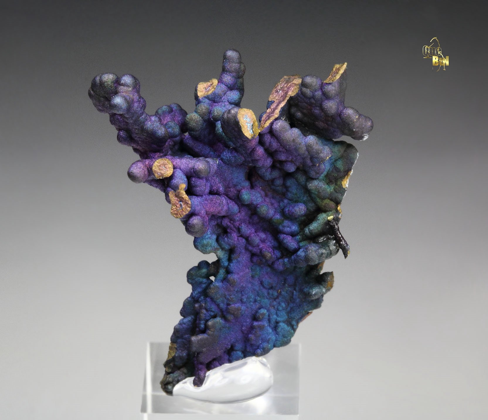 CHALCOCITE, DJURLEITE, iridescent CHALCOPYRITE