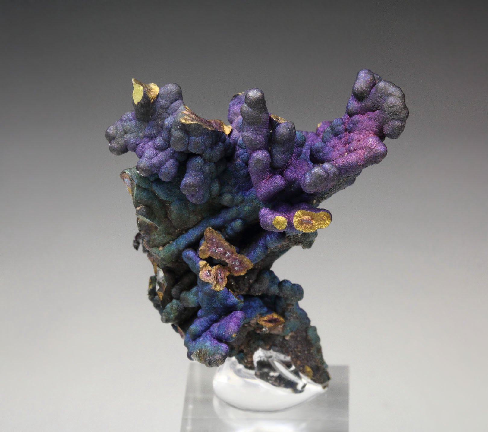 CHALCOCITE, DJURLEITE, iridescent CHALCOPYRITE