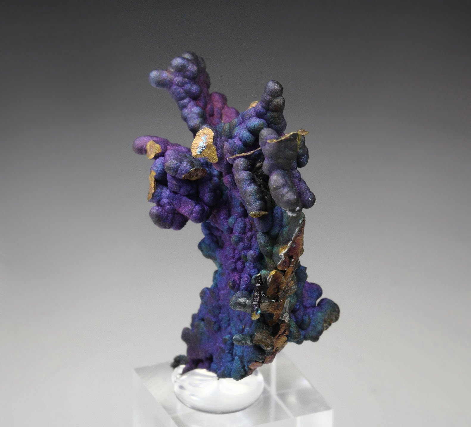 CHALCOCITE, DJURLEITE, iridescent CHALCOPYRITE