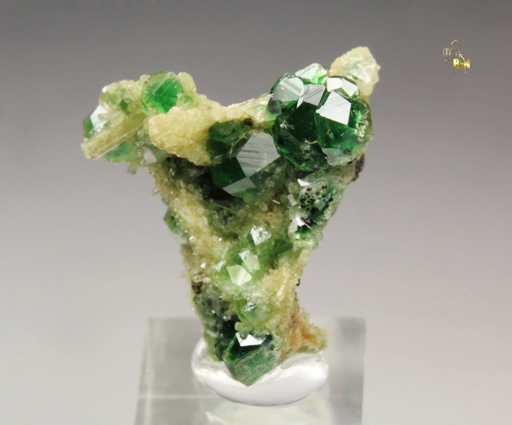 gem GARNET var. GROSSULAR var. CHROMIAN, CHROMITE, DIOPSIDE