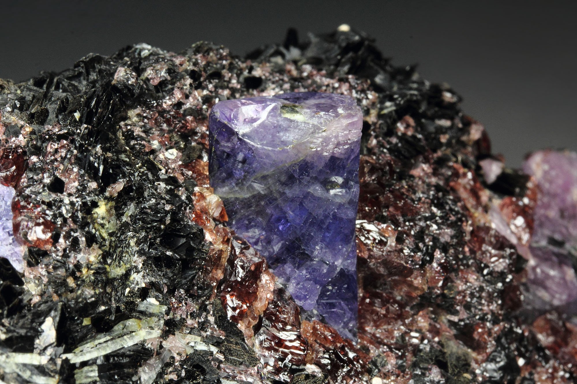 CORUNDUM var. RUBY, MUSCOVITE, PYROPE var. RHODOLITE