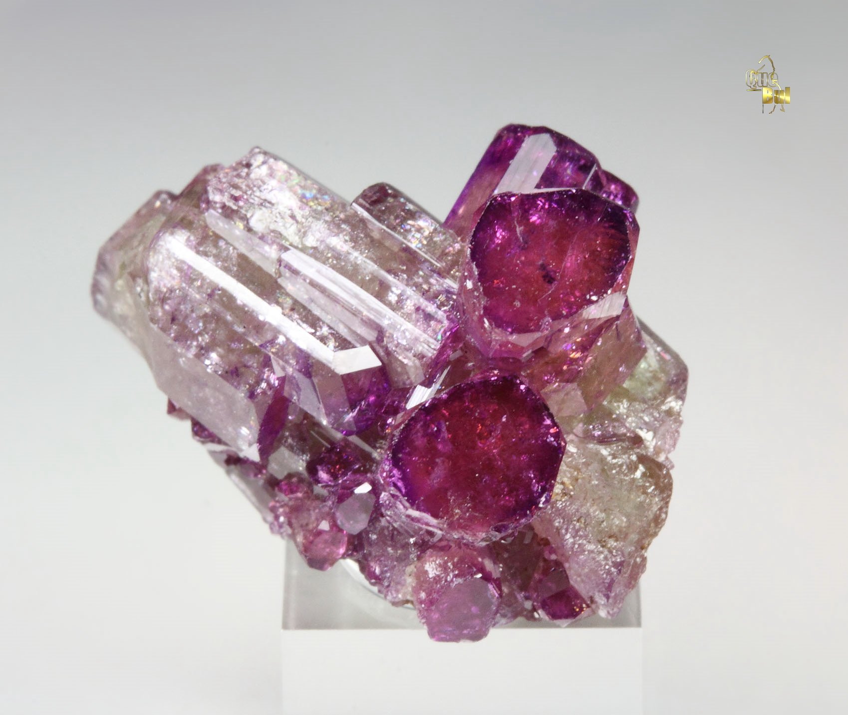 gem VESUVIANITE var. MANGANOAN