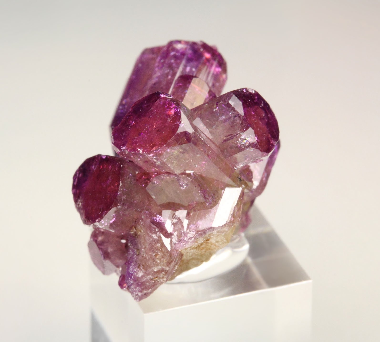 gem VESUVIANITE var. MANGANOAN