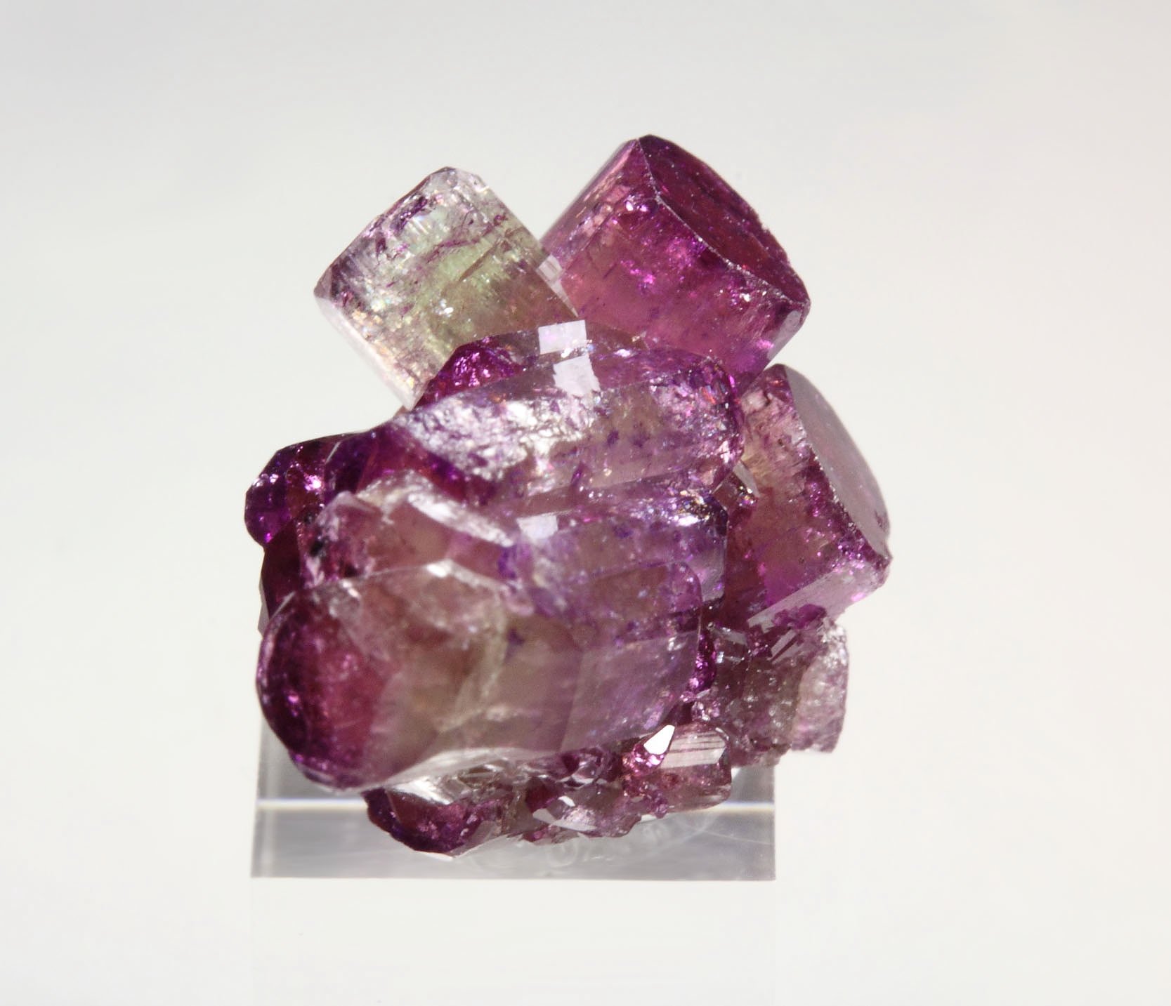 gem VESUVIANITE var. MANGANOAN