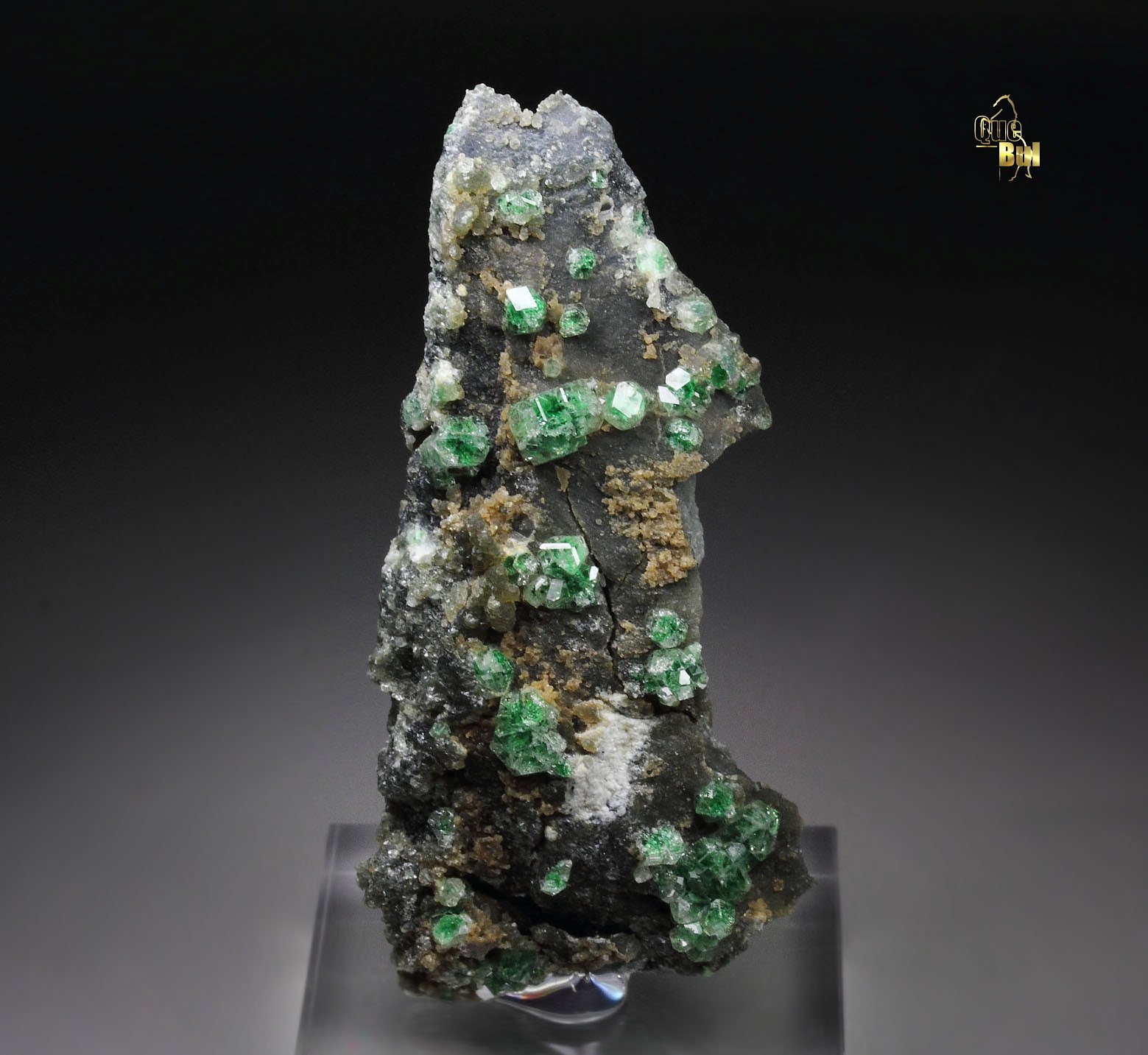 gem GARNET var. GROSSULAR with GREEN CHROMIAN PHANTOMS, CLINOCHLORE