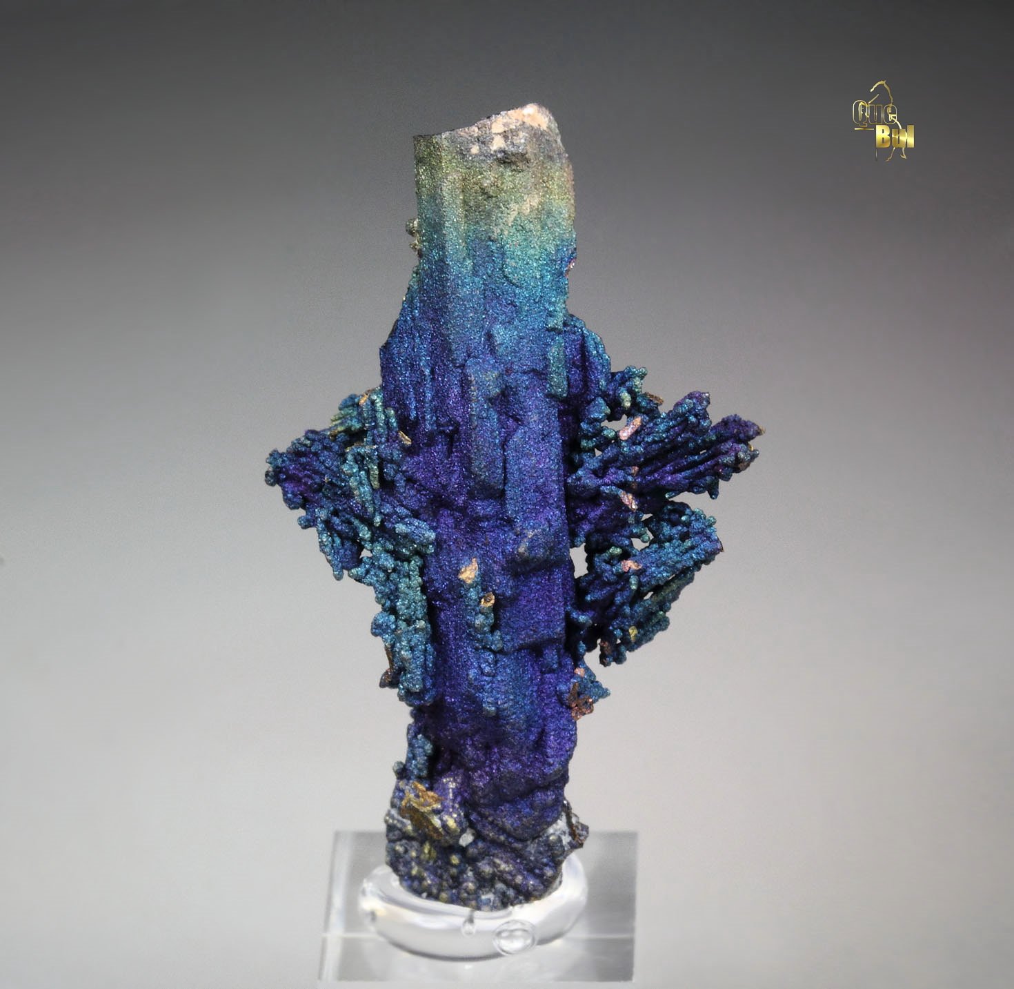 CHALCOCITE, DJURLEITE, iridescent CHALCOPYRITE