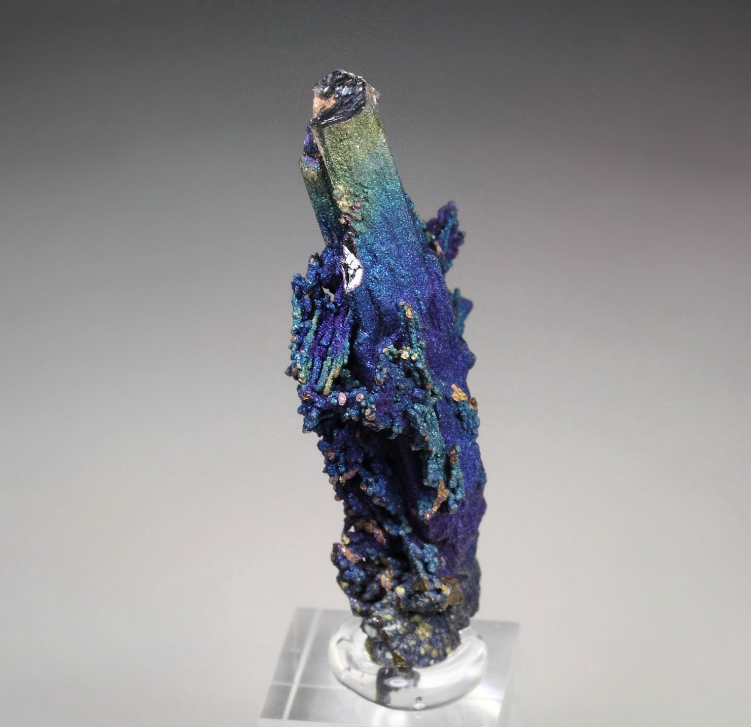 CHALCOCITE, DJURLEITE, iridescent CHALCOPYRITE