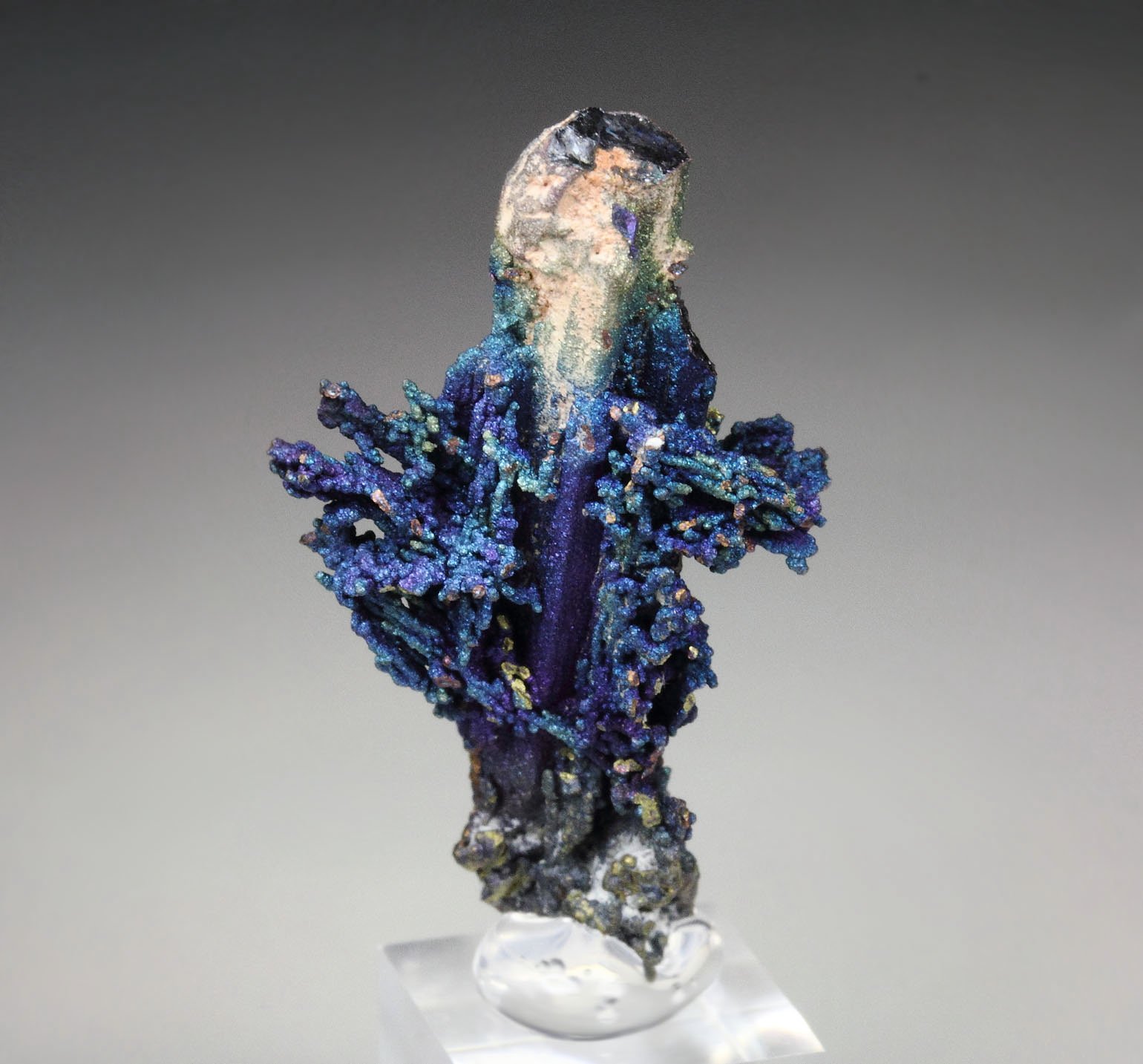 CHALCOCITE, DJURLEITE, iridescent CHALCOPYRITE