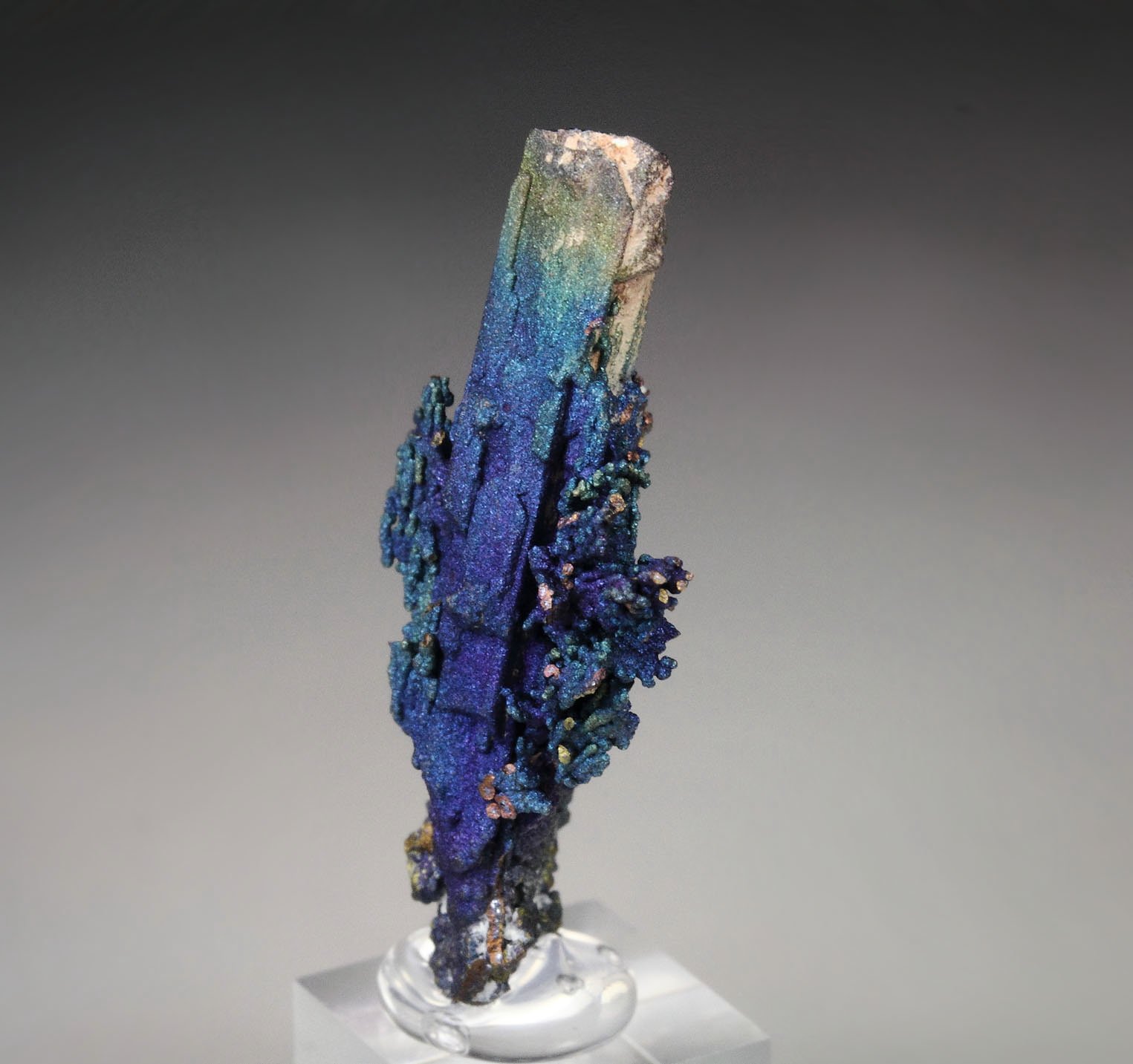 CHALCOCITE, DJURLEITE, iridescent CHALCOPYRITE