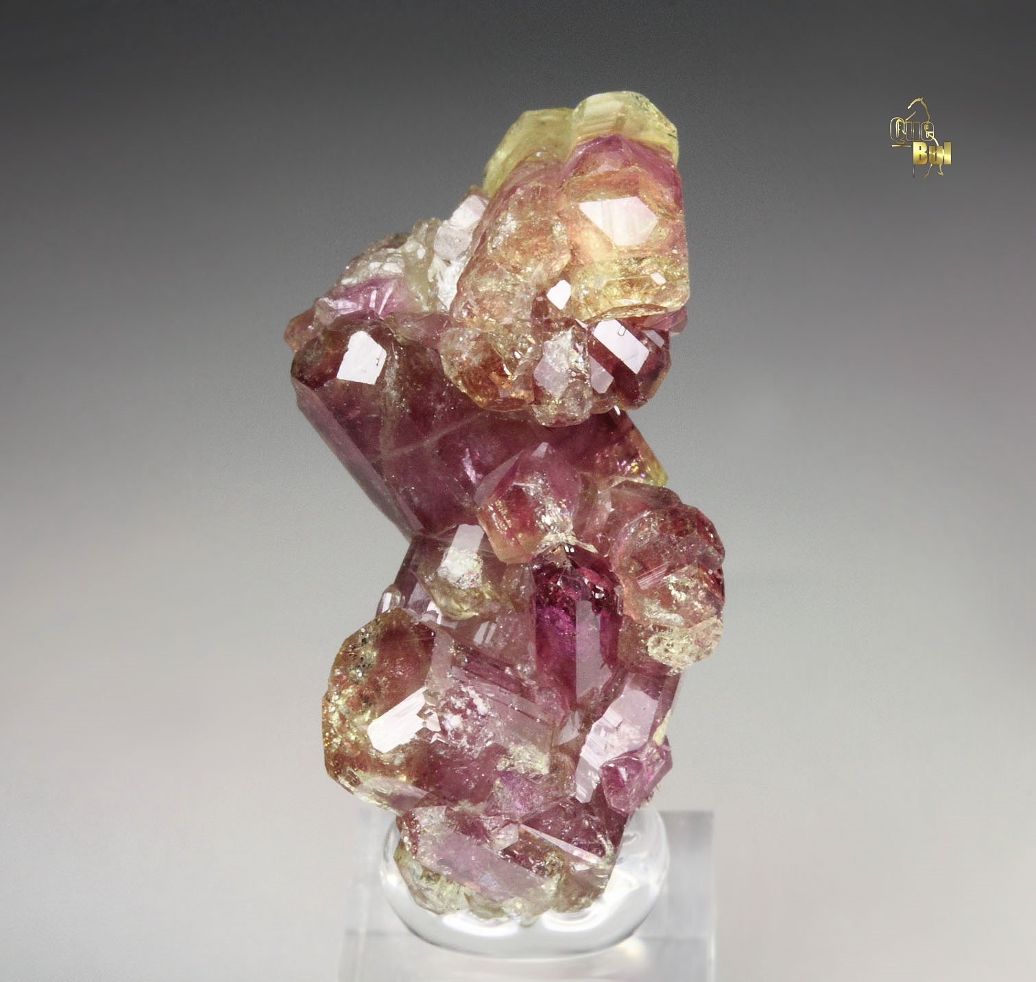 gem bi-terminated VESUVIANITE bi-color