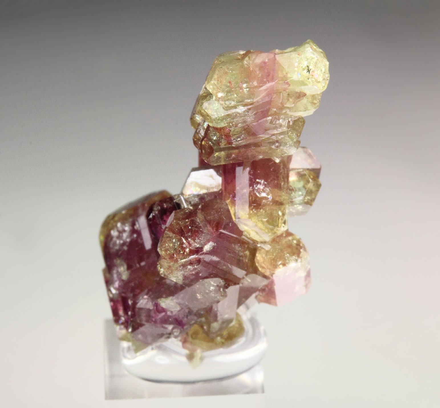 gem bi-terminated VESUVIANITE bi-color