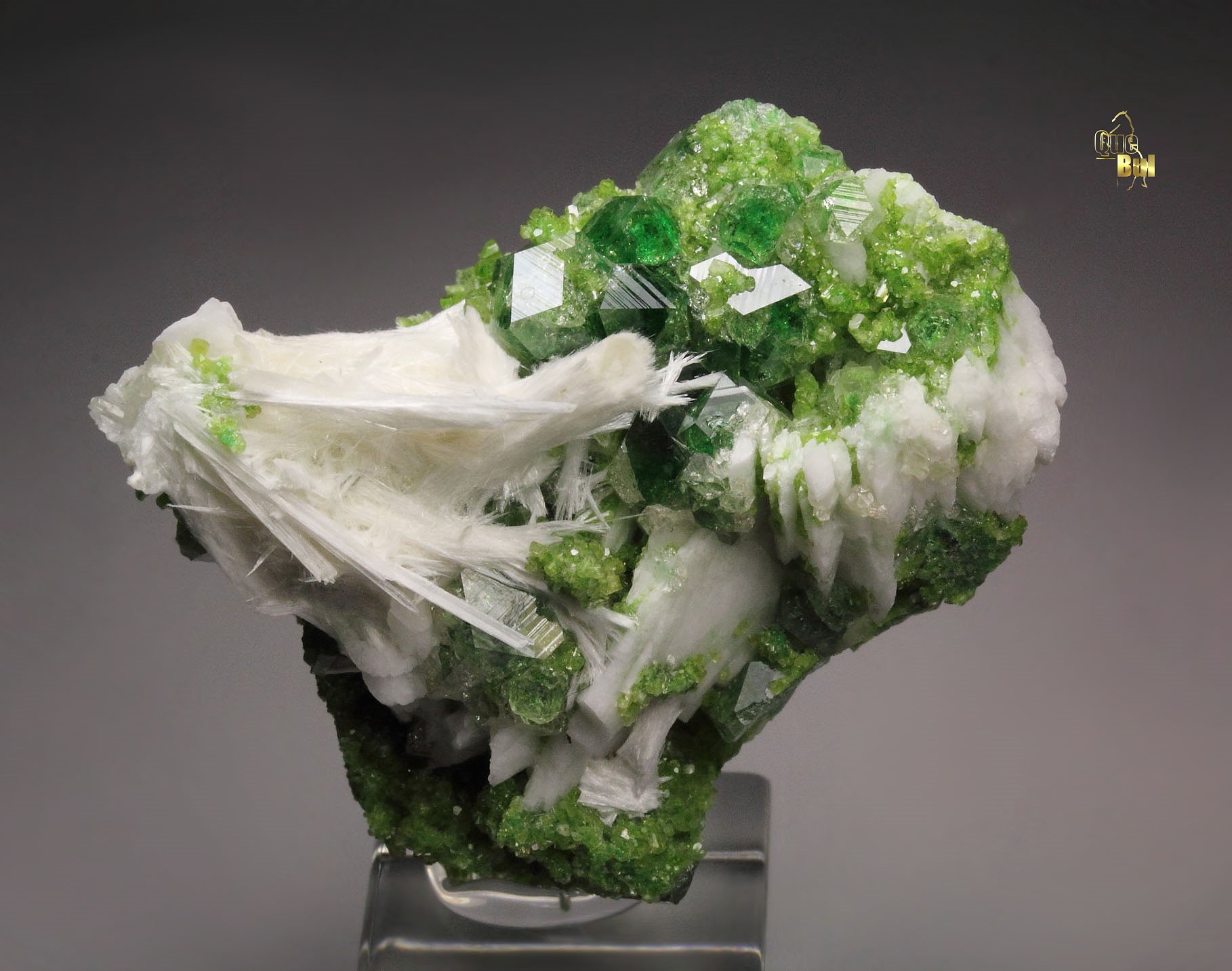 gem GARNET var. GROSSULAR with GREEN CHROMIAN PHANTOMS, PECTOLITE, DIOPSIDE