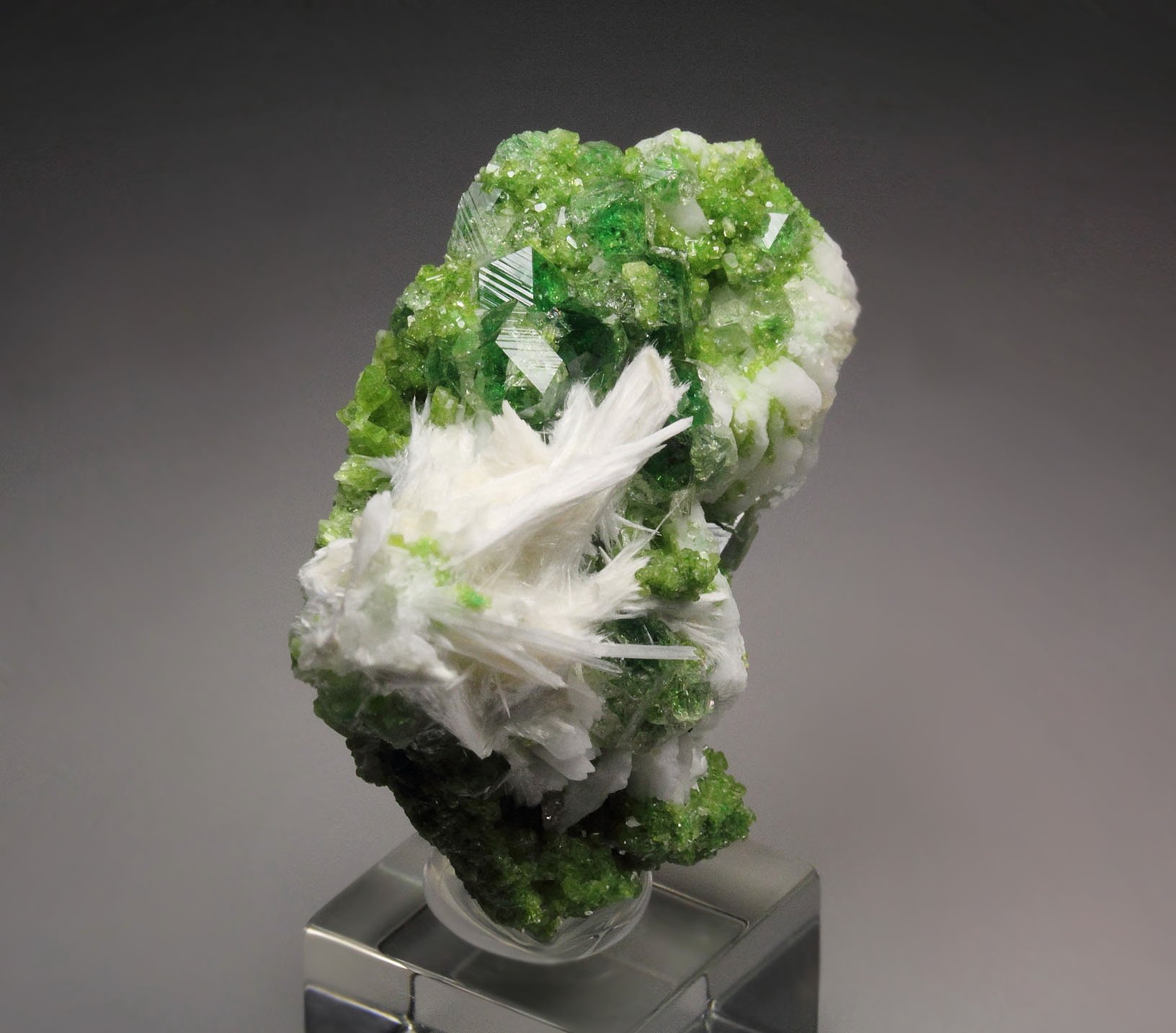 gem GARNET var. GROSSULAR with GREEN CHROMIAN PHANTOMS, PECTOLITE, DIOPSIDE