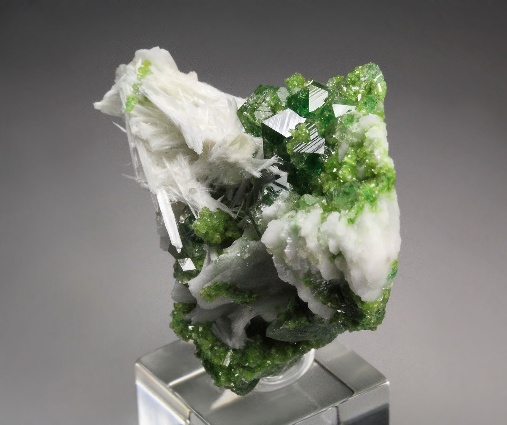 gem GARNET var. GROSSULAR with GREEN CHROMIAN PHANTOMS, PECTOLITE, DIOPSIDE