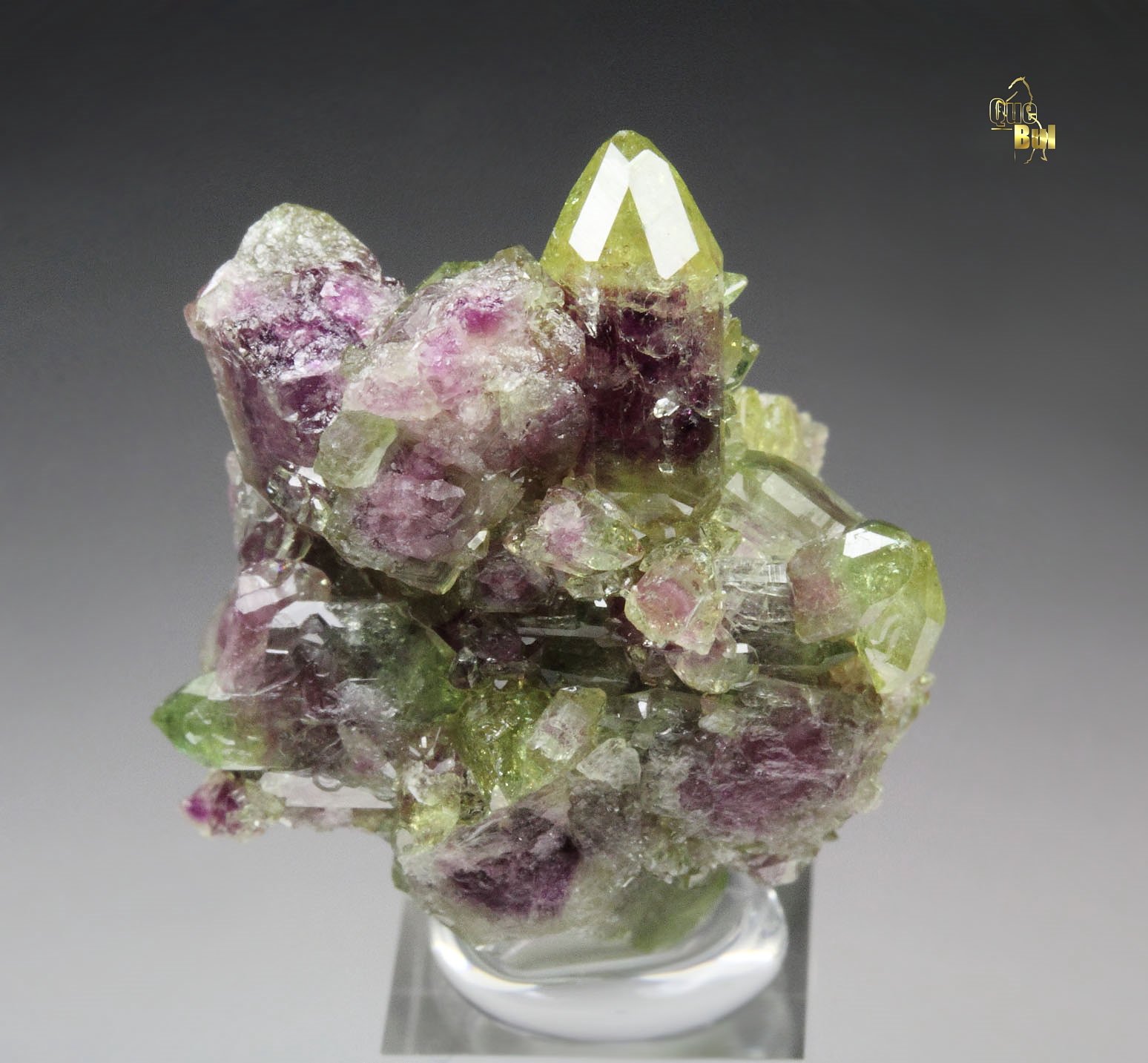 gemmy VESUVIANITE bi-color