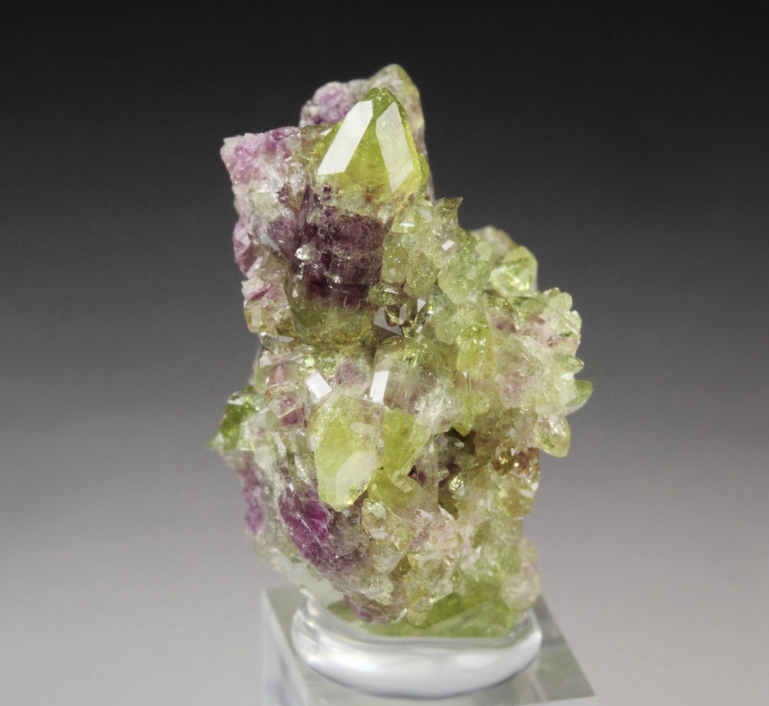 gemmy VESUVIANITE bi-color