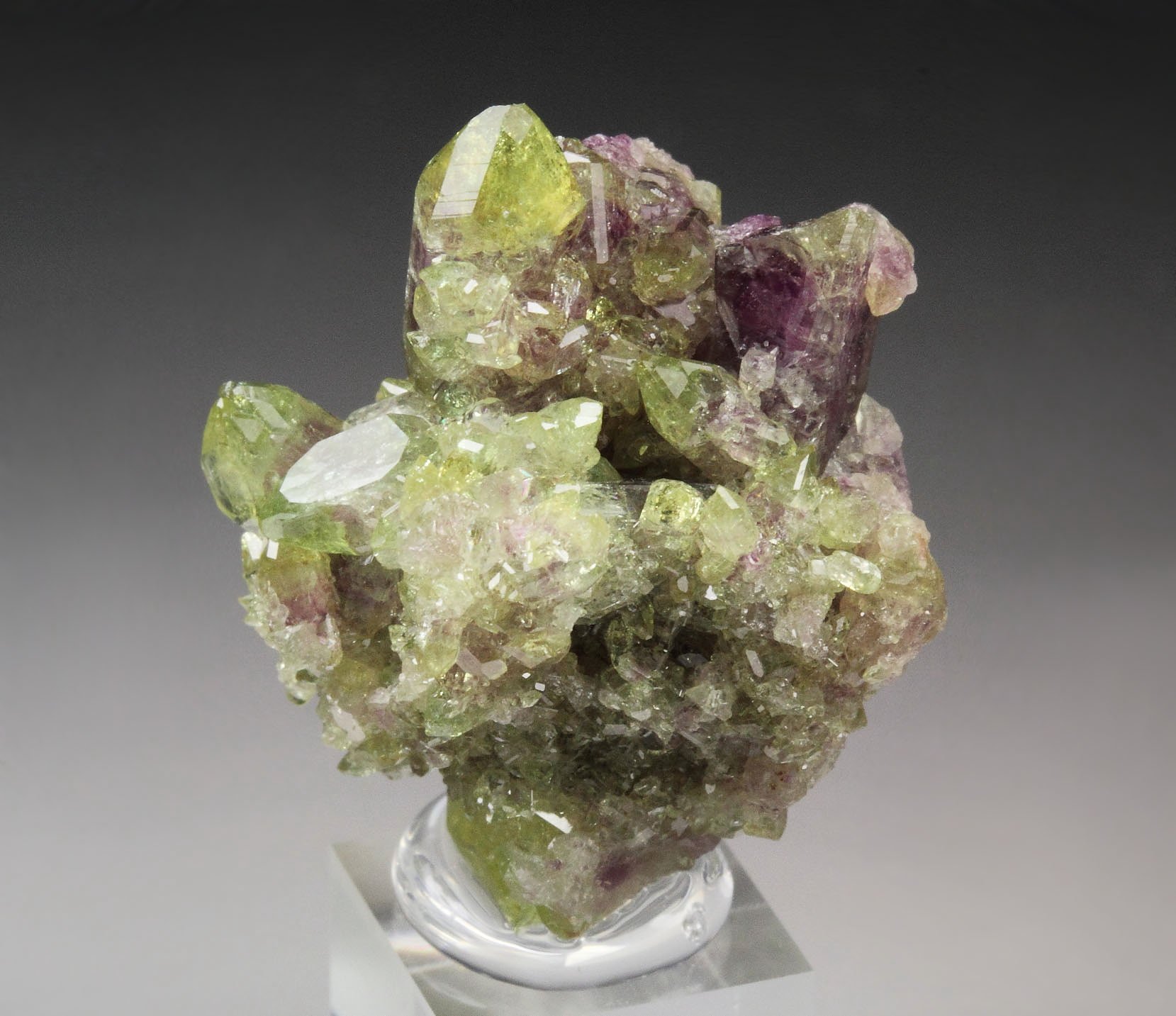 gemmy VESUVIANITE bi-color