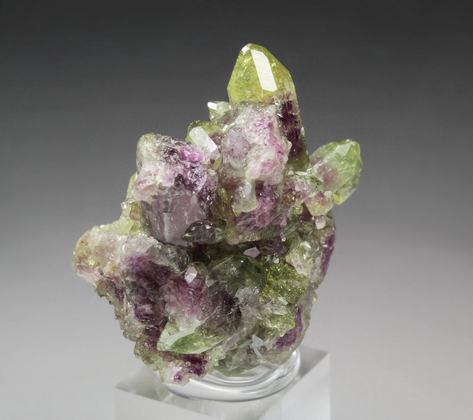 gemmy VESUVIANITE bi-color