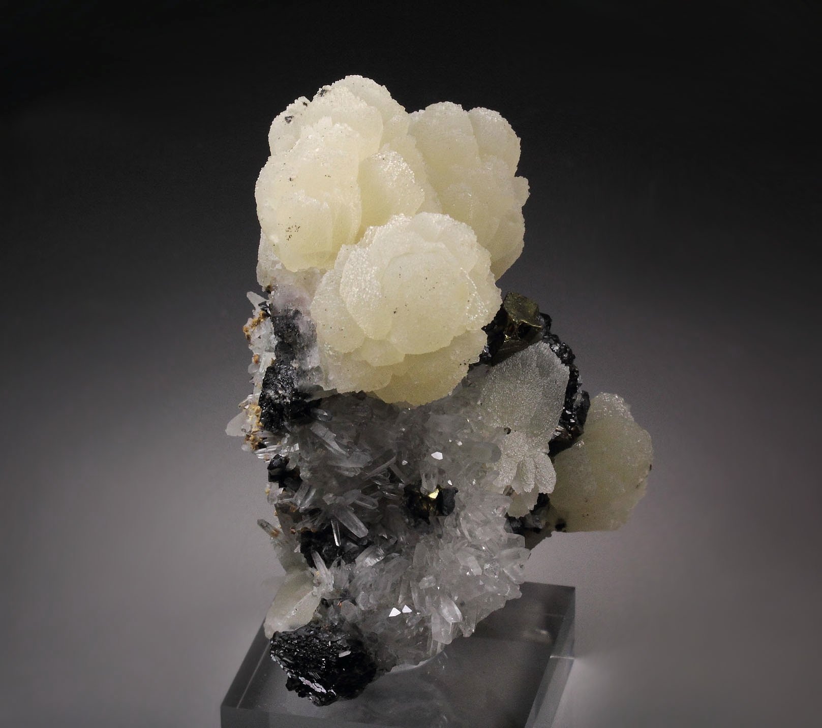 CALCITE, CHALCOPYRITE, GALENA, SPHALERITE, QUARTZ