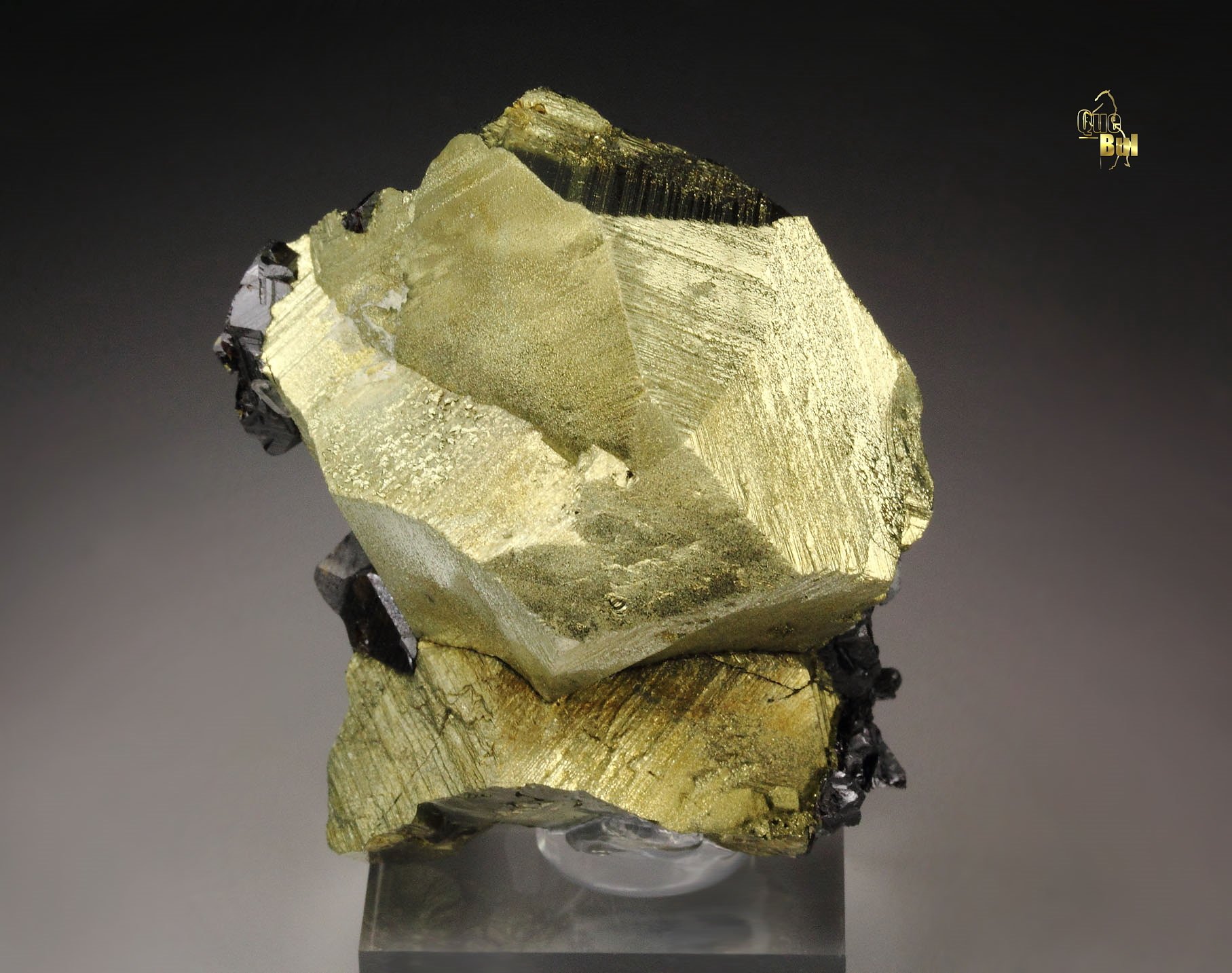 CHALCOPYRITE, SPHALERITE 