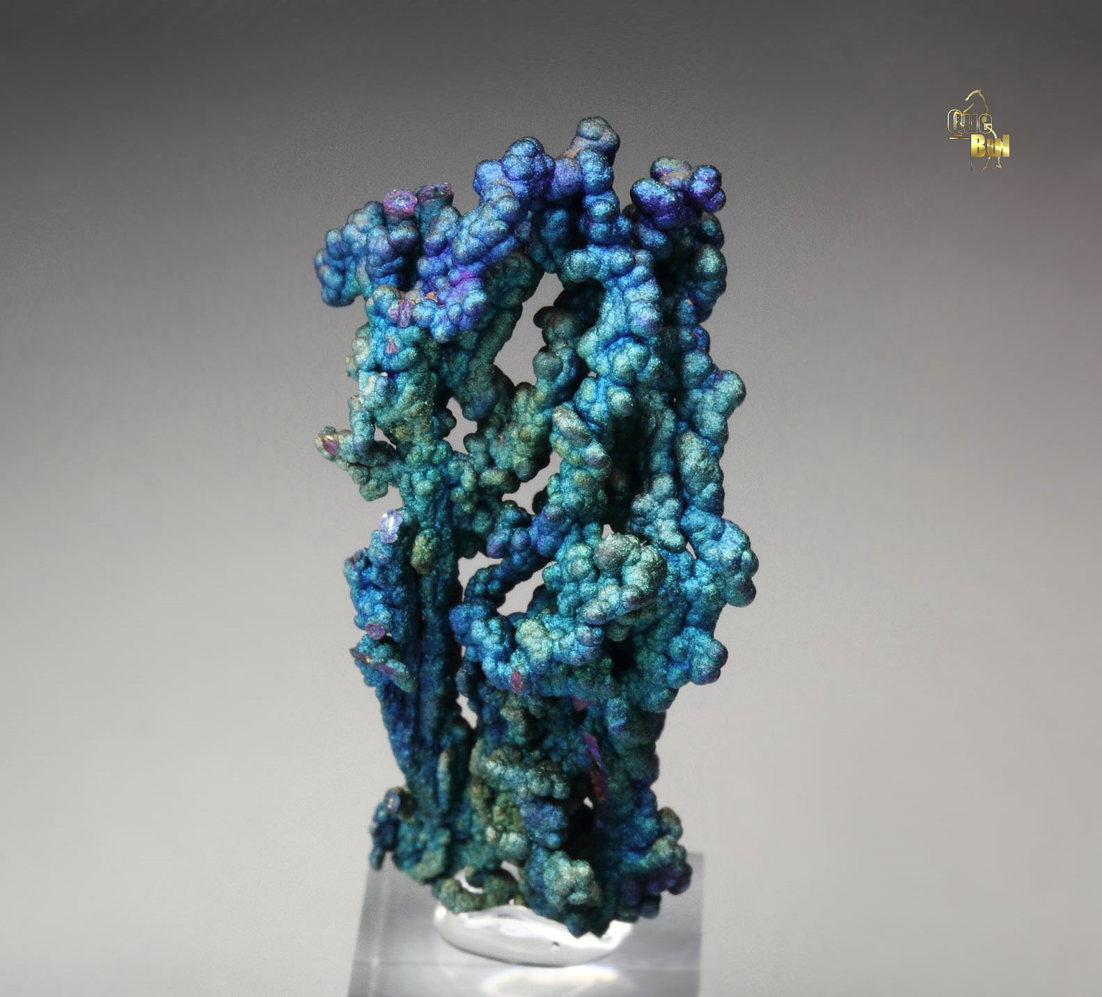 CHALCOCITE, DJURLEITE, iridescent CHALCOPYRITE