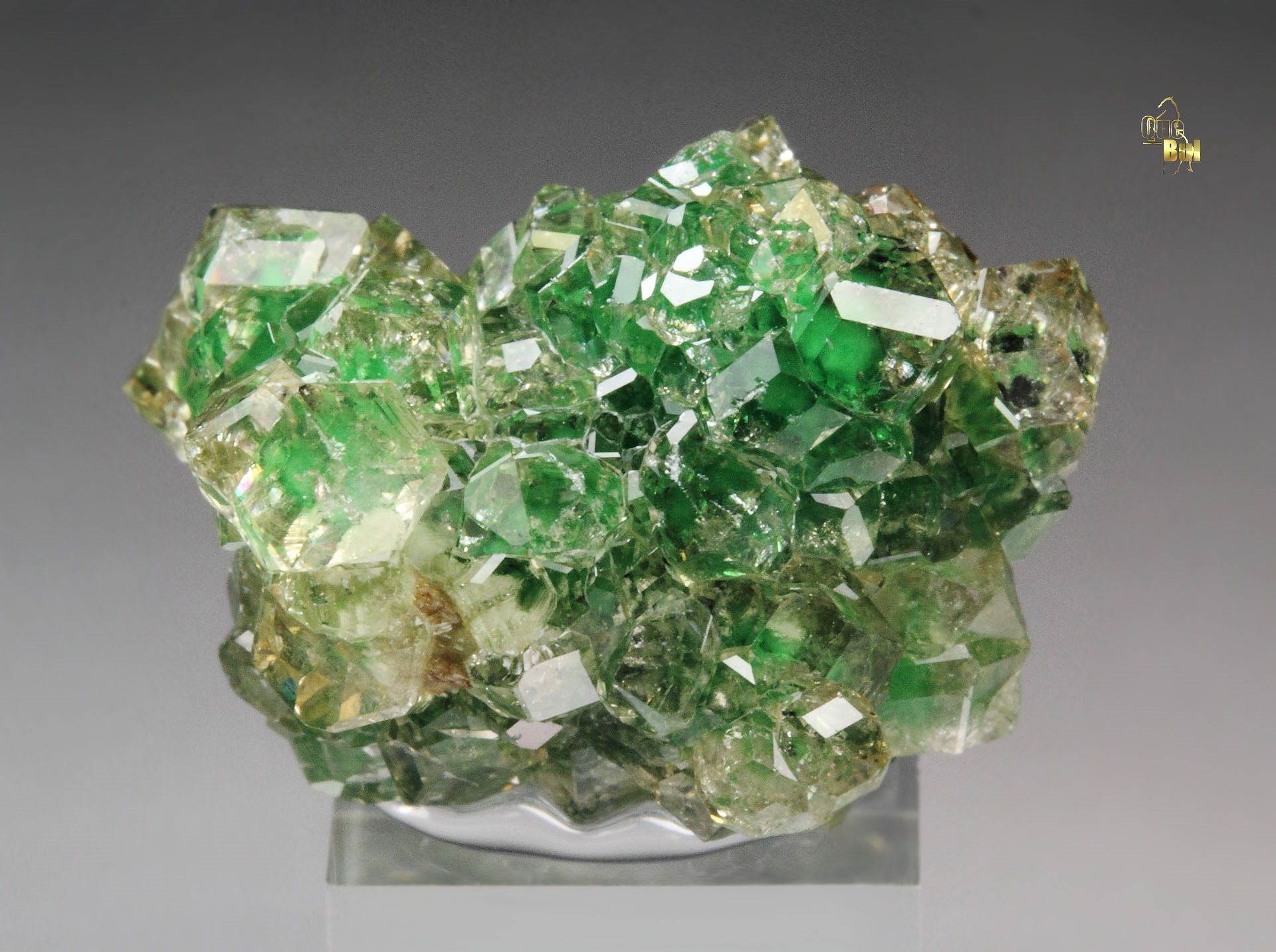 gem GARNET var. GROSSULAR with GREEN CHROMIAN PHANTOMS, CHROMITE