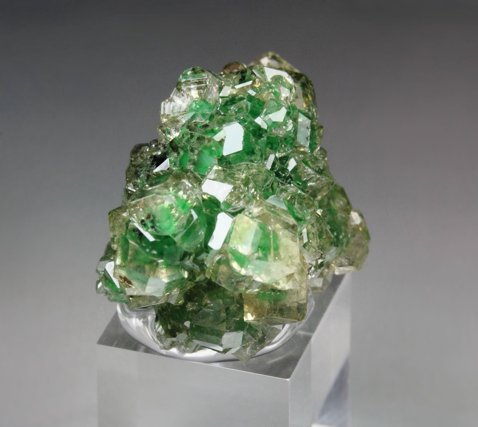 gem GARNET var. GROSSULAR with GREEN CHROMIAN PHANTOMS, CHROMITE