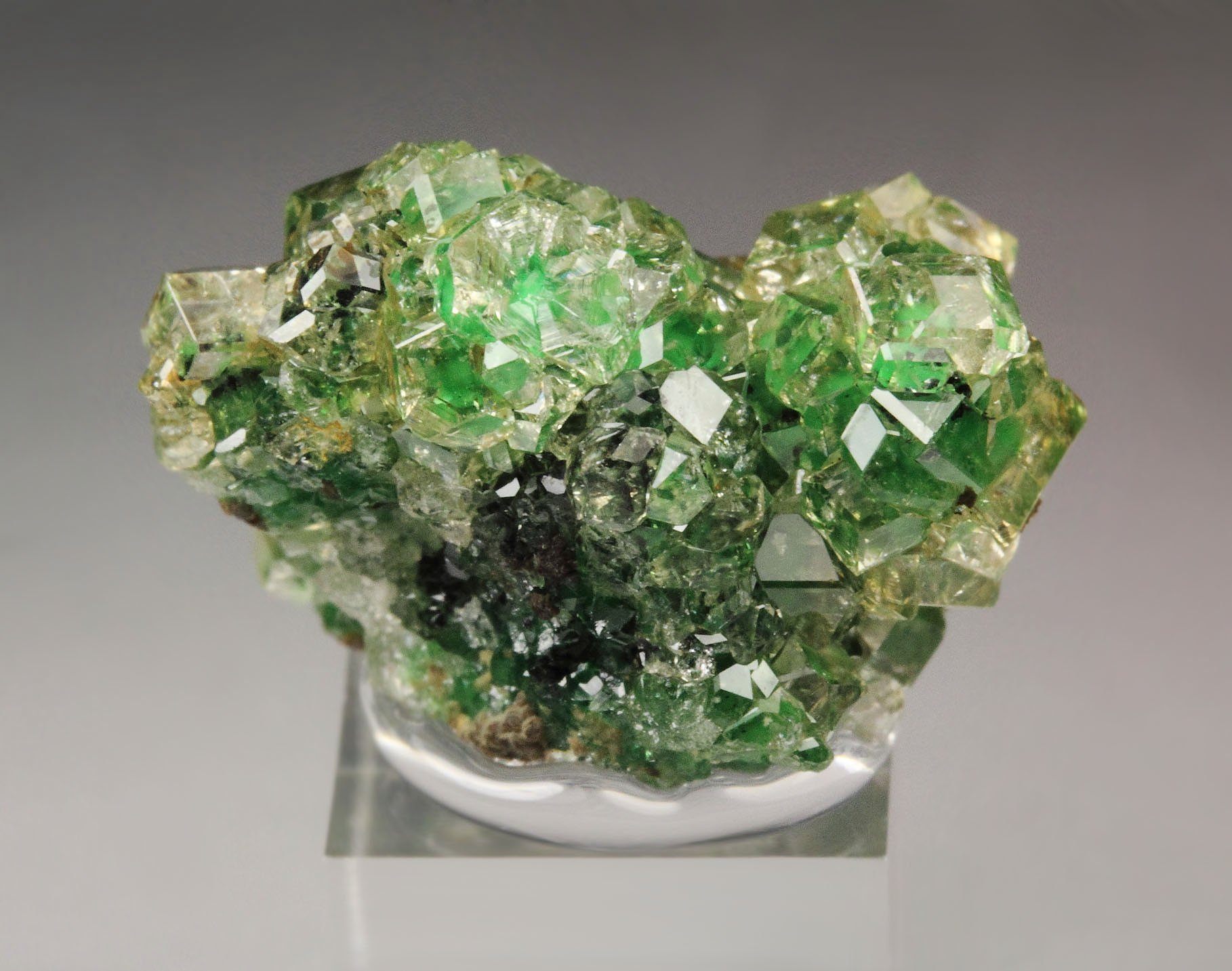 gem GARNET var. GROSSULAR with GREEN CHROMIAN PHANTOMS, CHROMITE