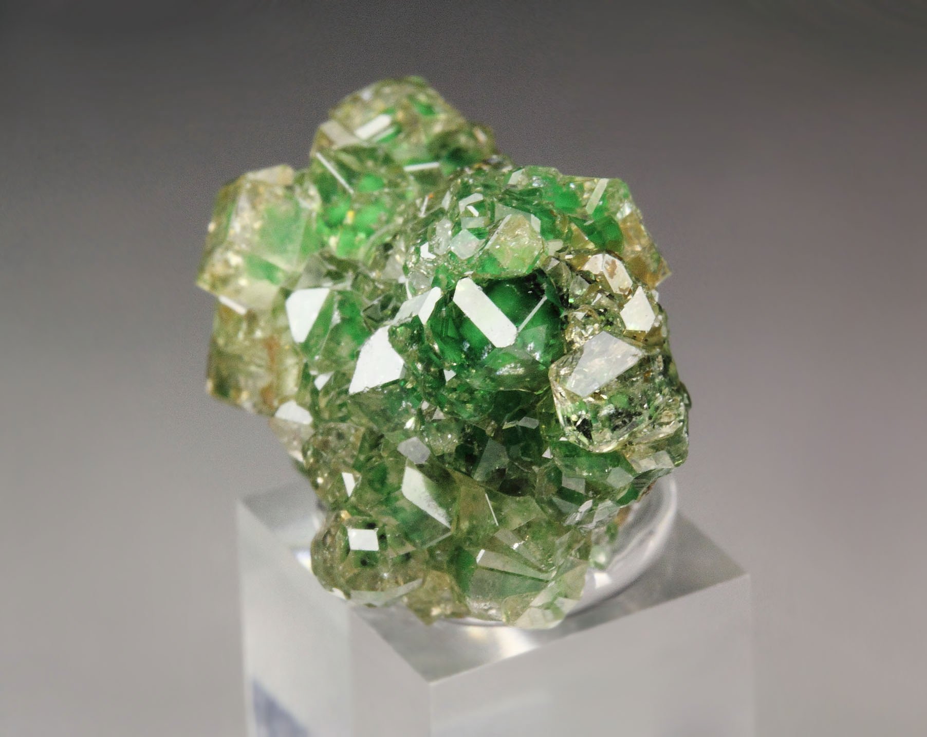 gem GARNET var. GROSSULAR with GREEN CHROMIAN PHANTOMS, CHROMITE