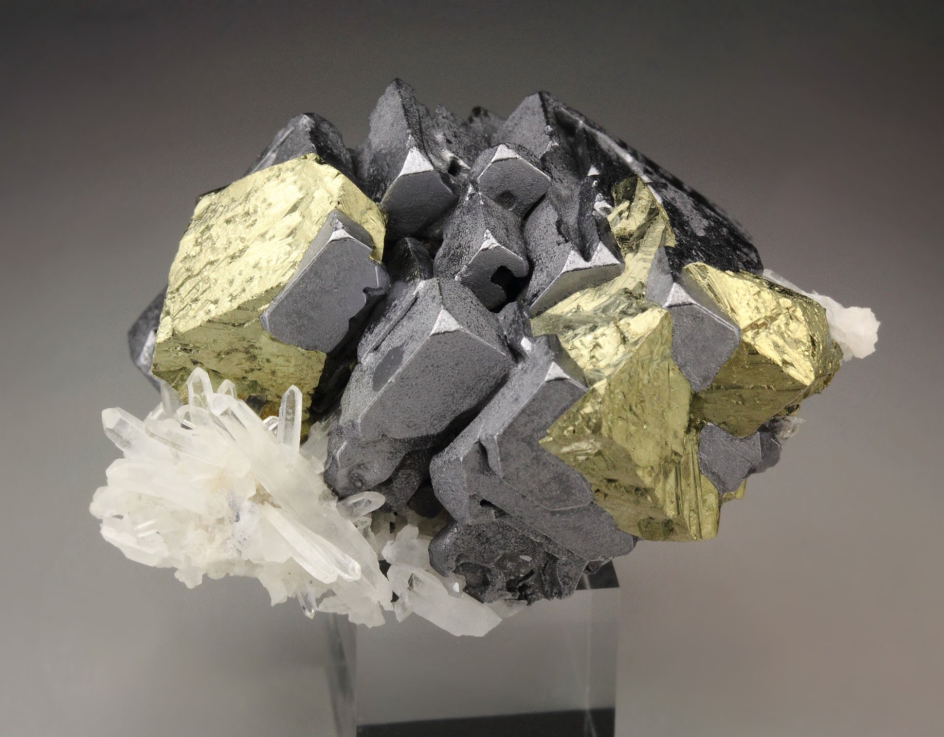 skeletal GALENA, CHALCOPYRITE, QUARTZ