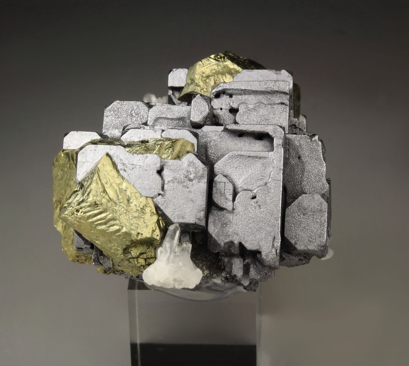 skeletal GALENA, CHALCOPYRITE, QUARTZ