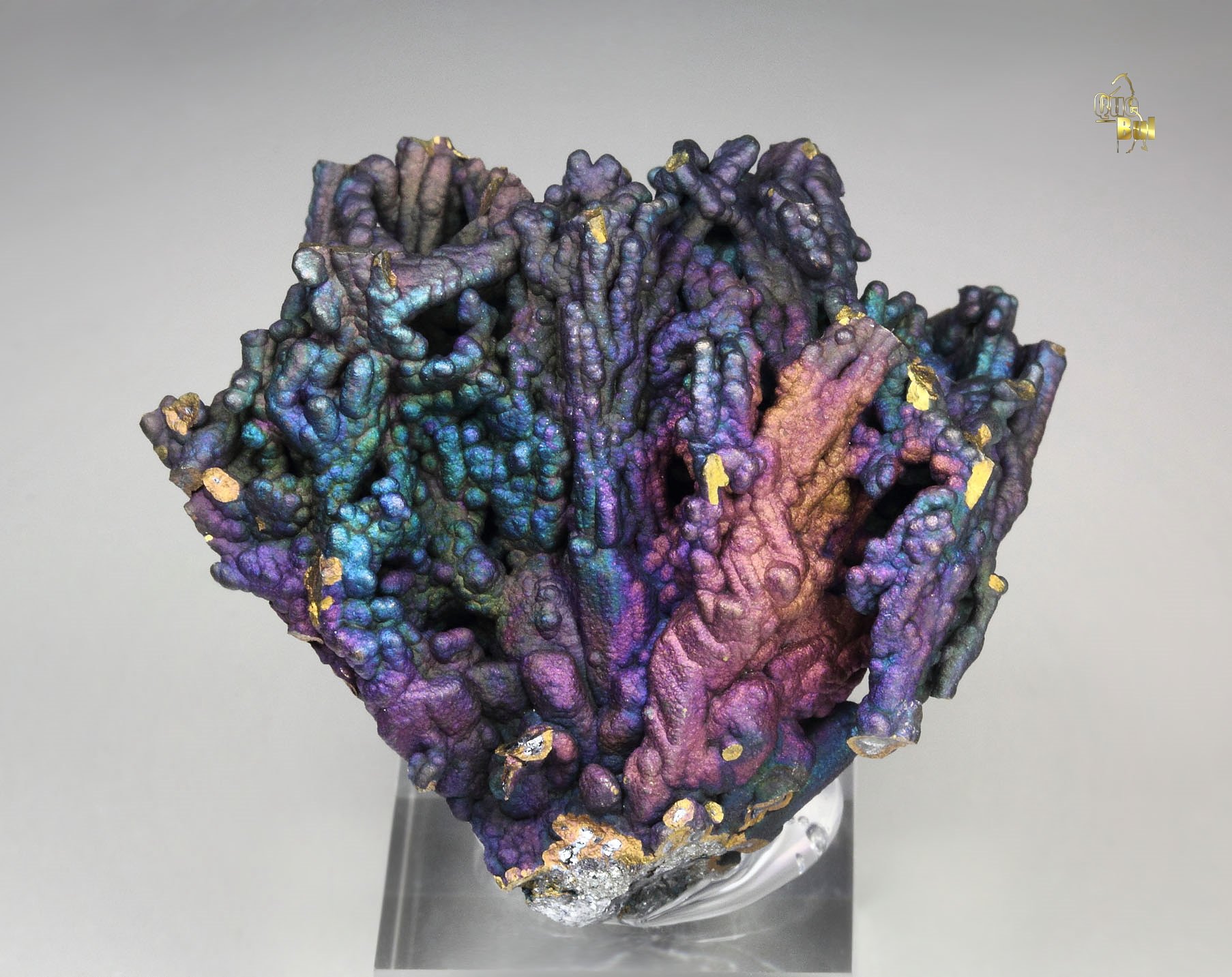 CHALCOCITE, DJURLEITE, iridescent CHALCOPYRITE