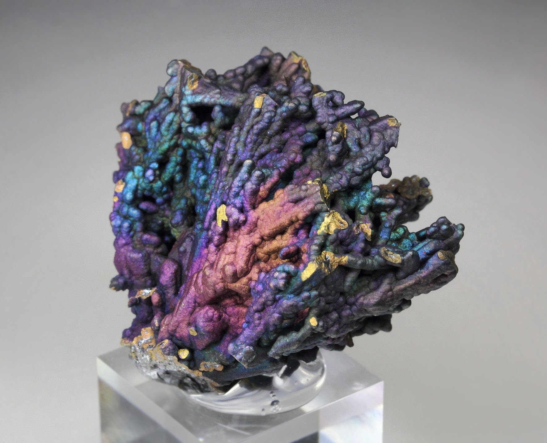 CHALCOCITE, DJURLEITE, iridescent CHALCOPYRITE