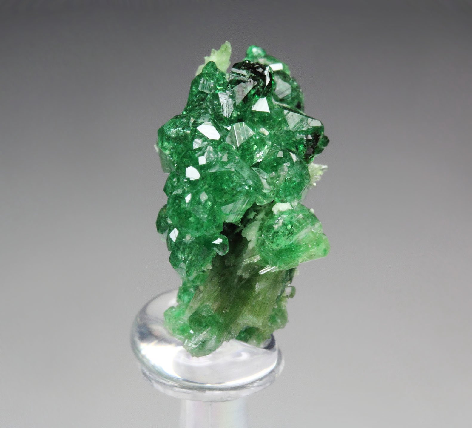gem GARNET var. GROSSULAR var. CHROMIAN, CHROMITE, DIOPSIDE