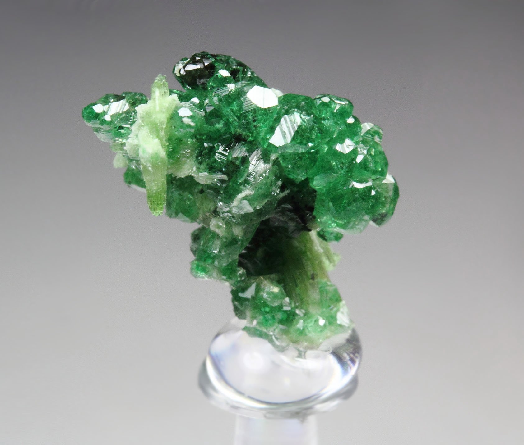 gem GARNET var. GROSSULAR var. CHROMIAN, CHROMITE, DIOPSIDE