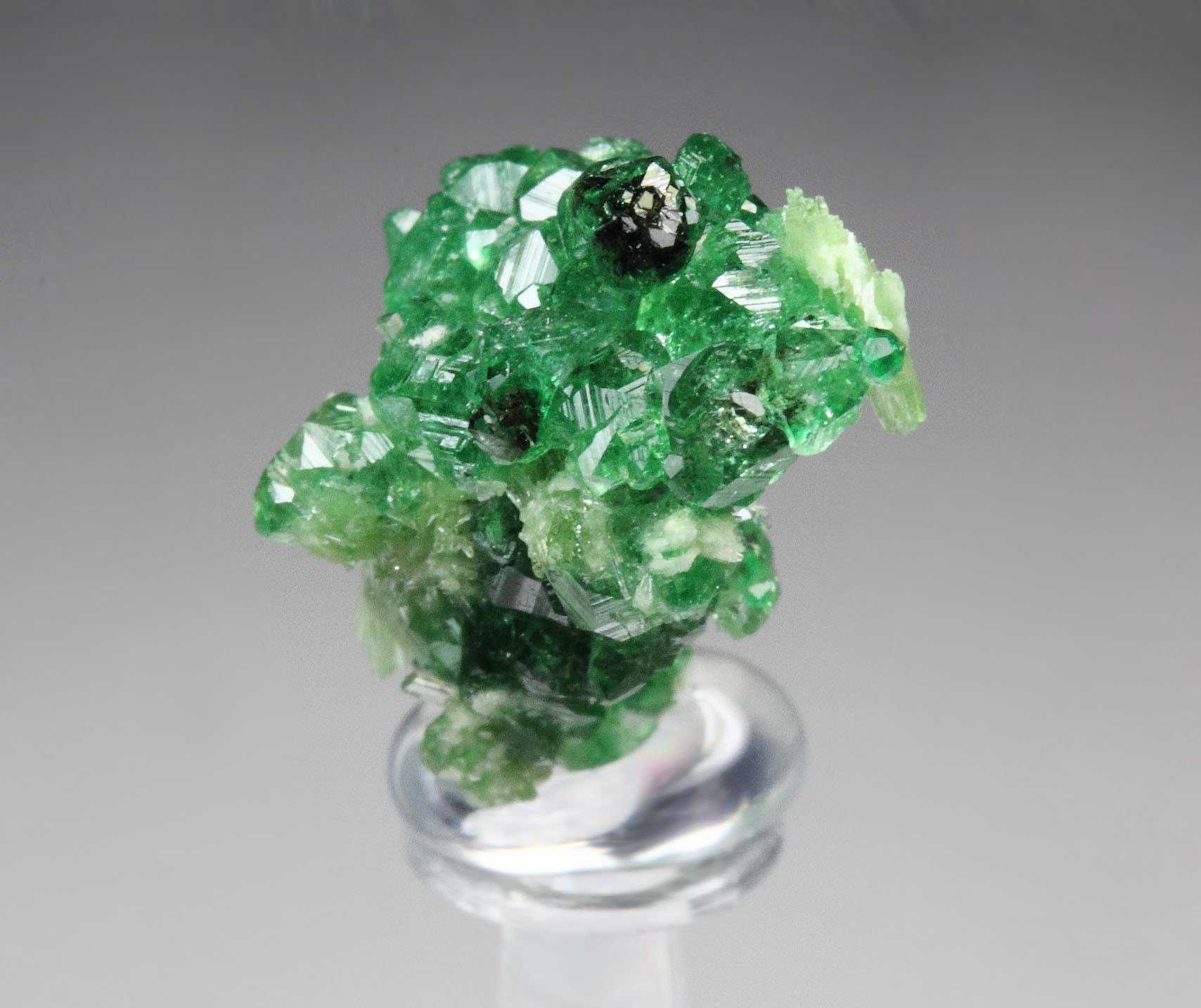 gem GARNET var. GROSSULAR var. CHROMIAN, CHROMITE, DIOPSIDE