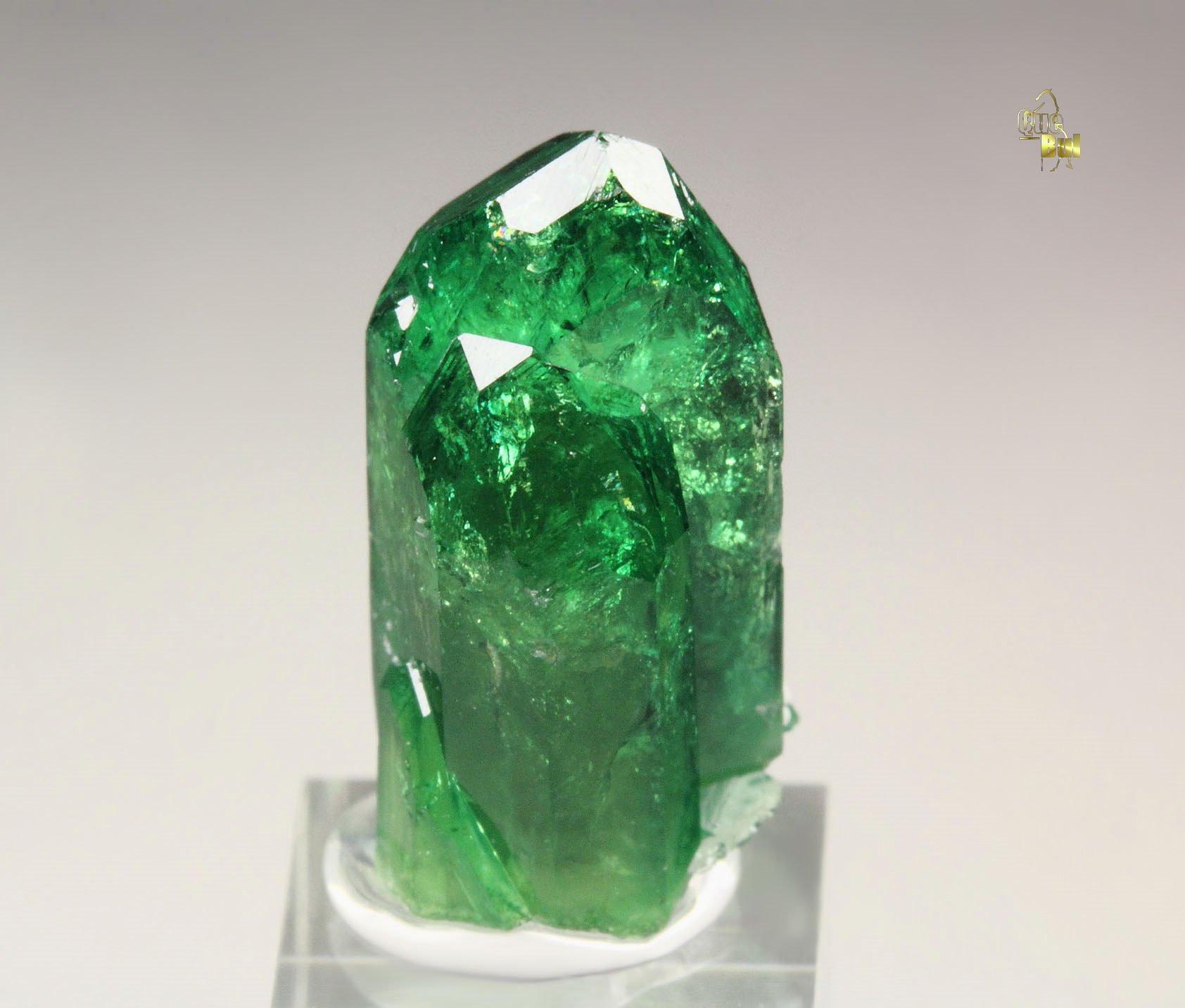 gem VESUVIANITE var. CHROMIAN